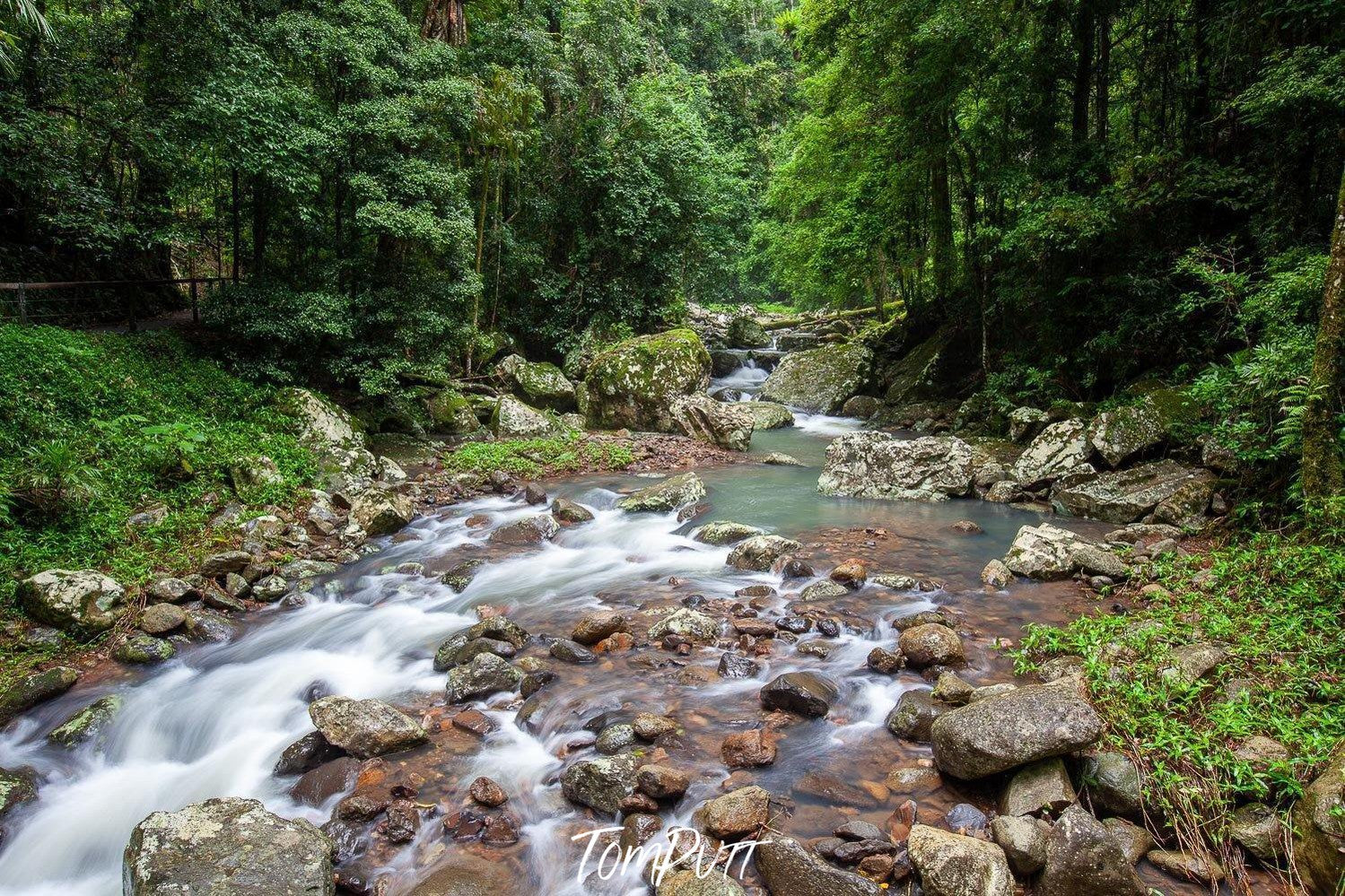 A long greenery area with a centric watercourse and lot of stones, Lamington Stream - QLD