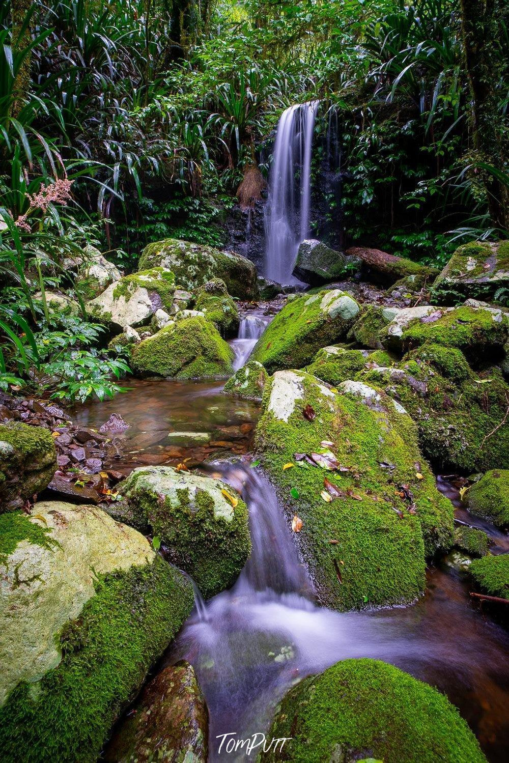 Big greeny stones on the ground, with a small waterfall into a lake, Lamington Tranquility - QLD