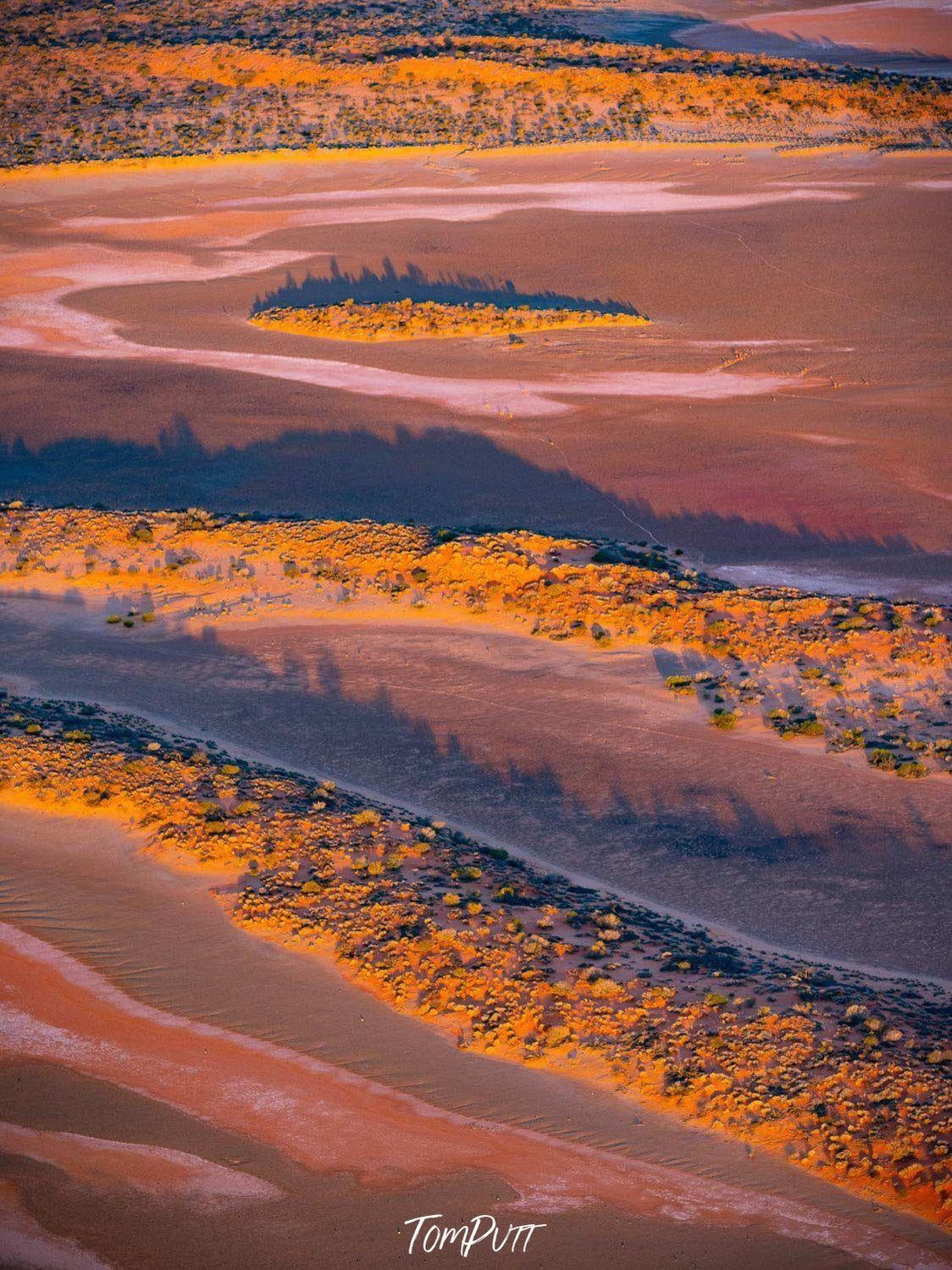 A large desert area with some curvy lines of plants and flowers, Late Desert Shadows