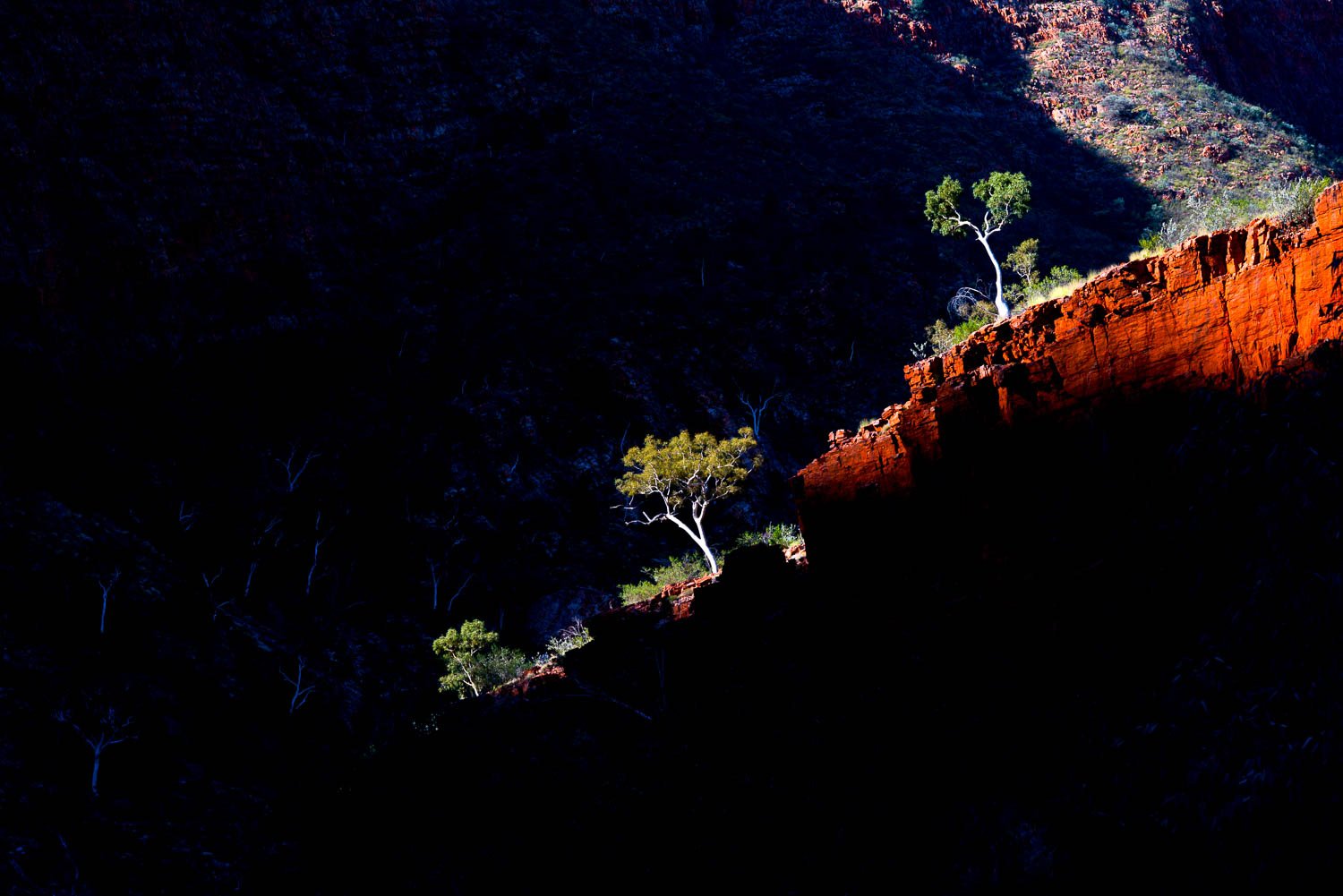 Aerial view of a high mountain wall with trees and plants, and a partially hitting sunlight, Late Light, Ormiston Gorge - Red Centre NT