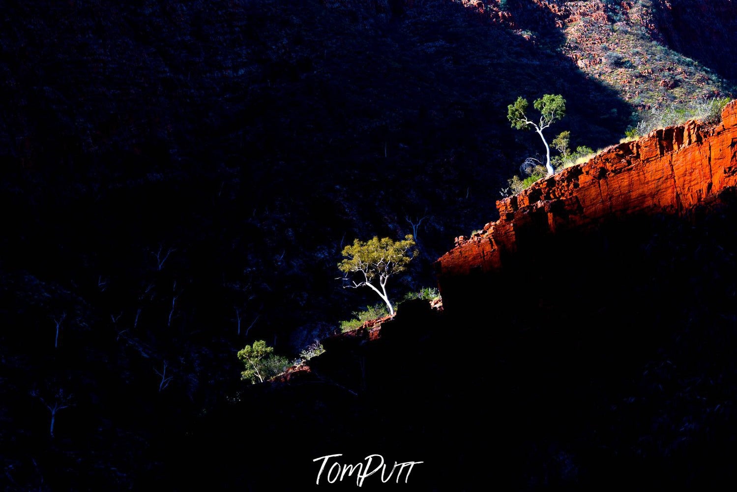 Aerial view of a high mountain wall with trees and plants, and a partially hitting sunlight, Late Light, Ormiston Gorge - Red Centre NT