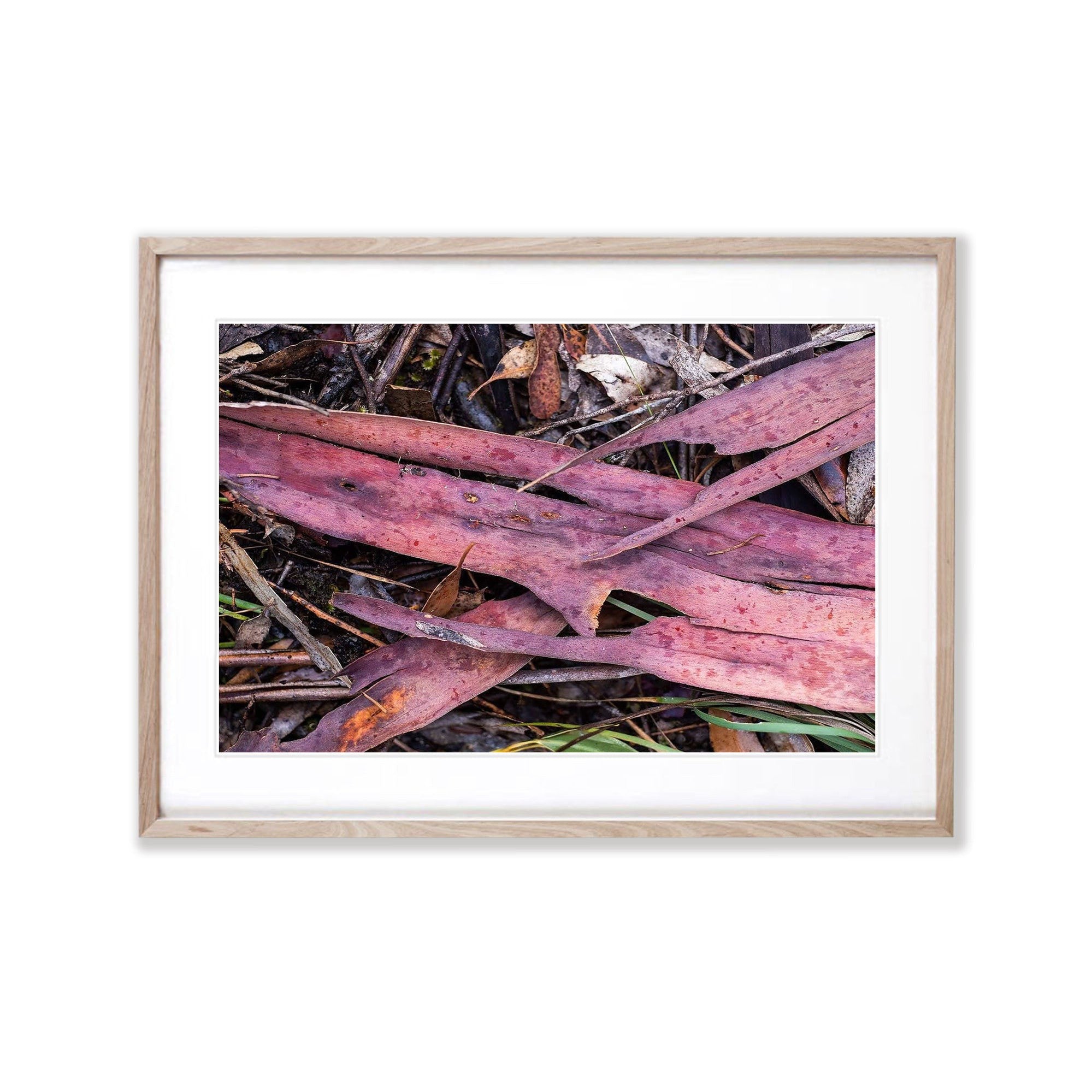 Leaf Litter No.5, Kangaroo Island, South Australia