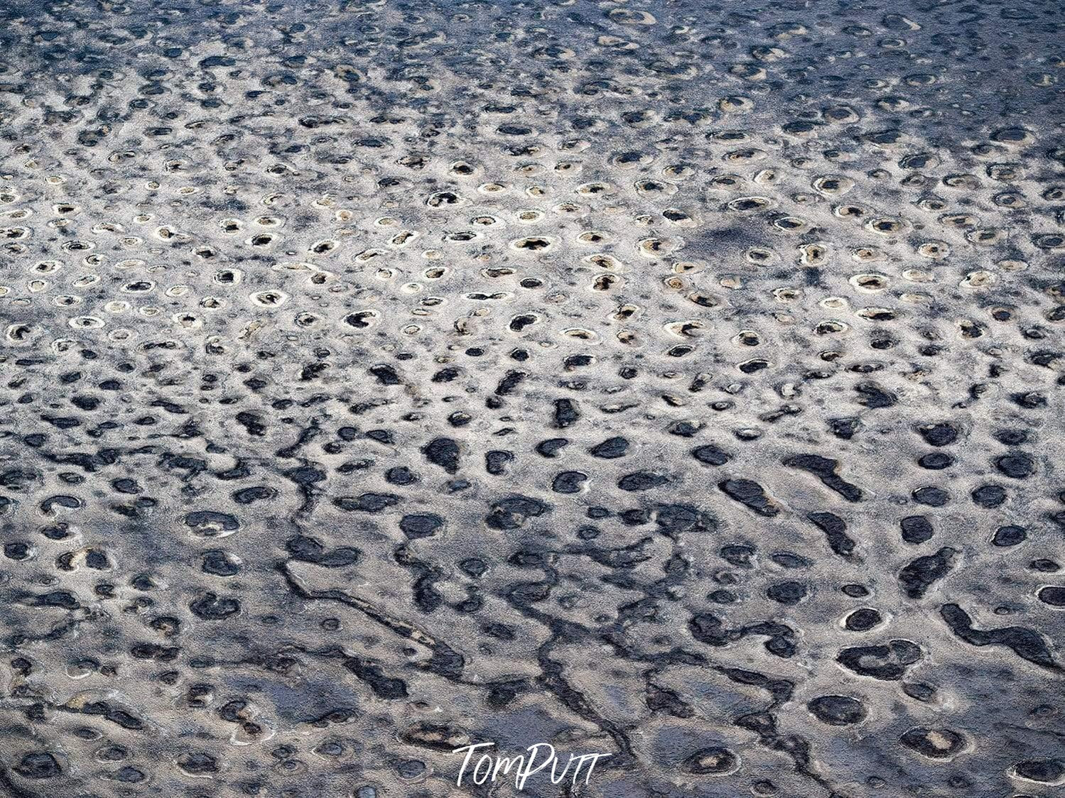 A wax-like texture with white and greyish colors making a leopard skin-like surface, Leopard Landscape