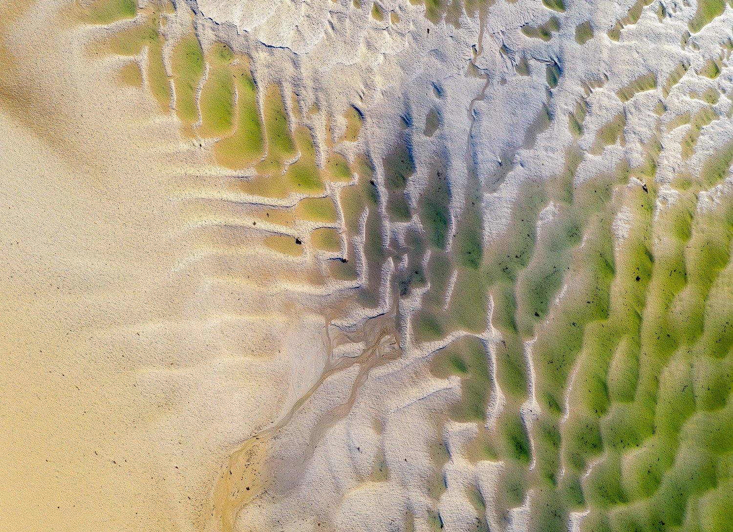 Froggy green and grey colored shades on a sand-colored surface having symmetrical shapes of cracks and waves, Lime Coast