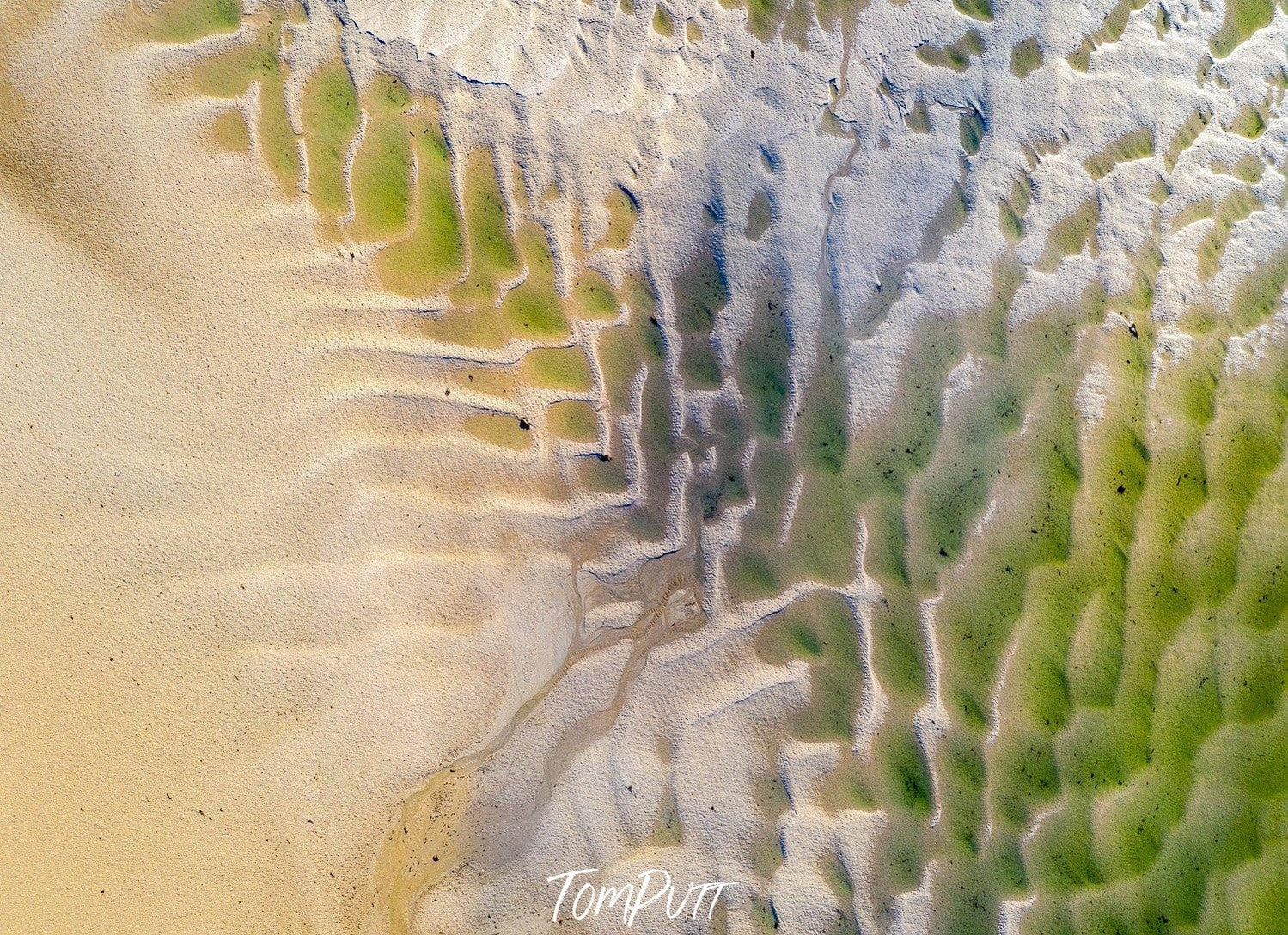 Froggy green and grey colored shades on a sand-colored surface having symmetrical shapes of cracks and waves, Lime Coast