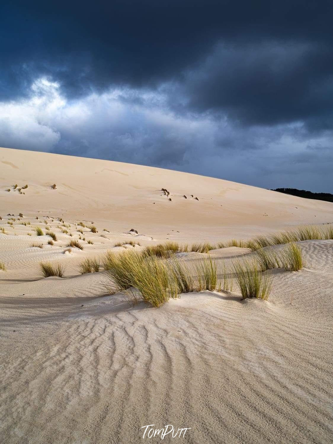 A desert with giant black clouds over, and bushes over the sand, Little Sahara Storm - Kangaroo Island SA