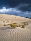 A desert with giant black clouds over, and bushes over the sand, Little Sahara Storm - Kangaroo Island SA