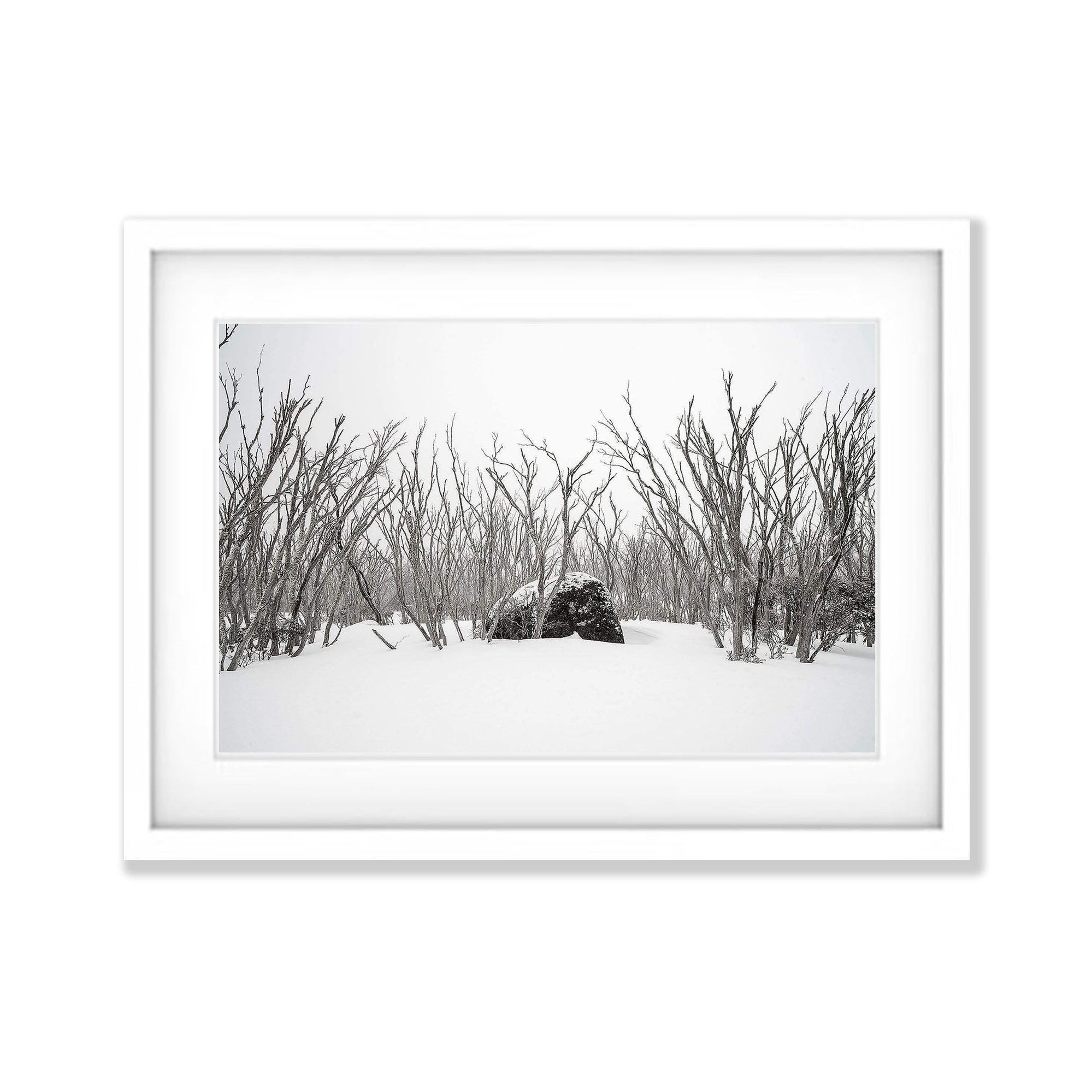 Lone Boulder - Snowy Mountains NSW