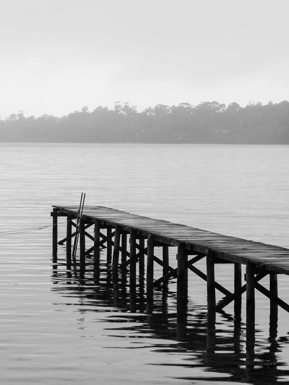 Wooden bridge over water, Lone Jetty, Bay of Fires
