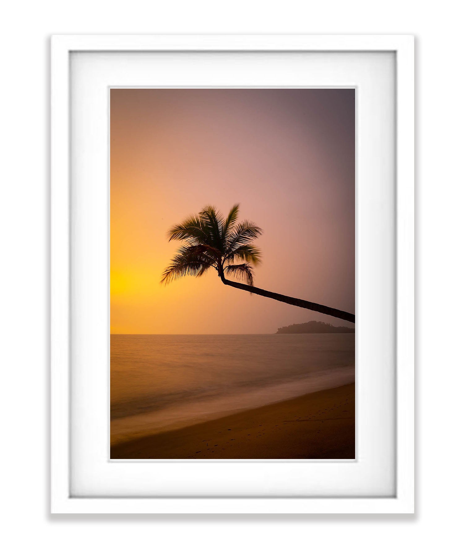 Lone Palm tree over the beach, Palm Cove, Far North Queensland