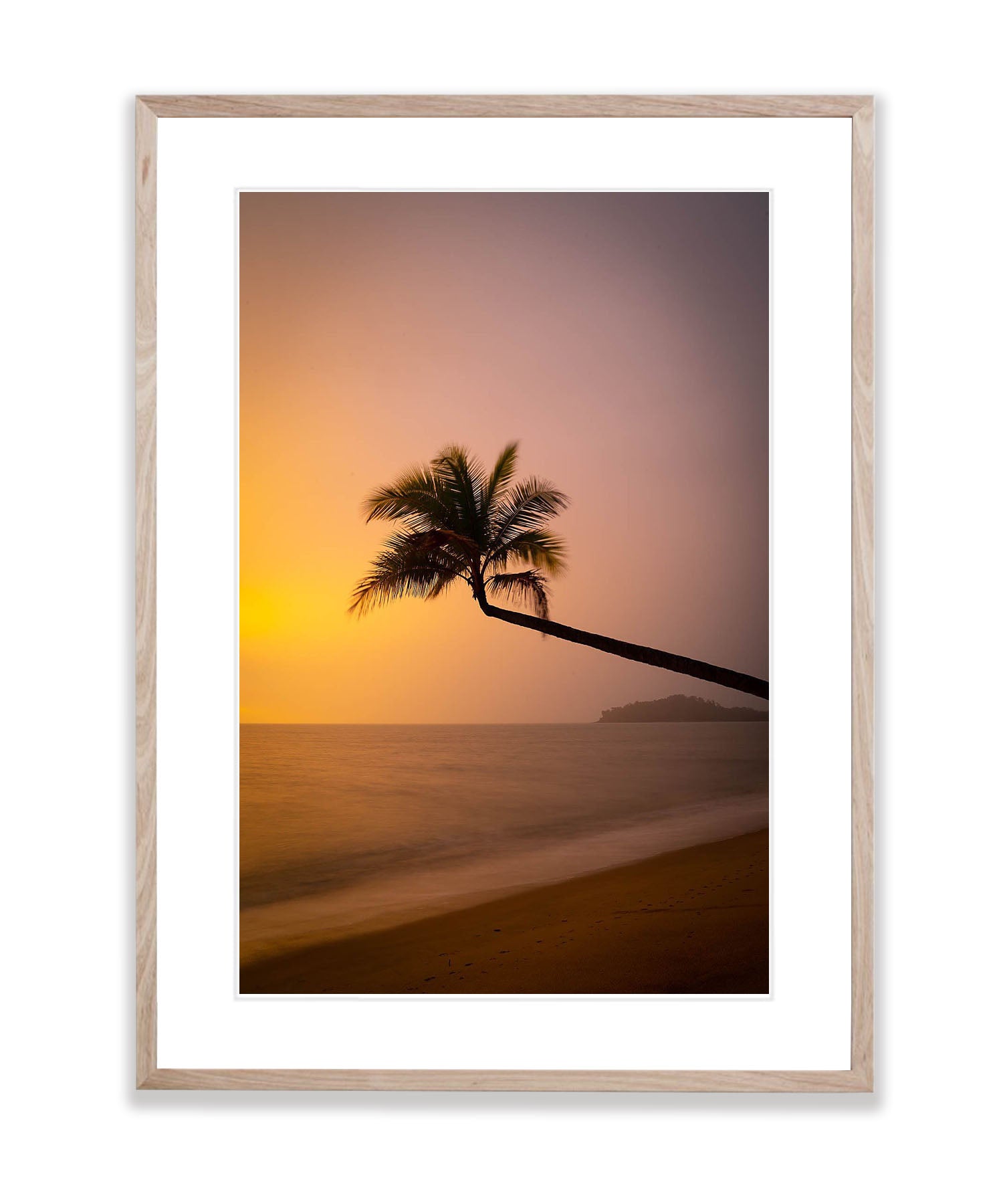 Lone Palm tree over the beach, Palm Cove, Far North Queensland