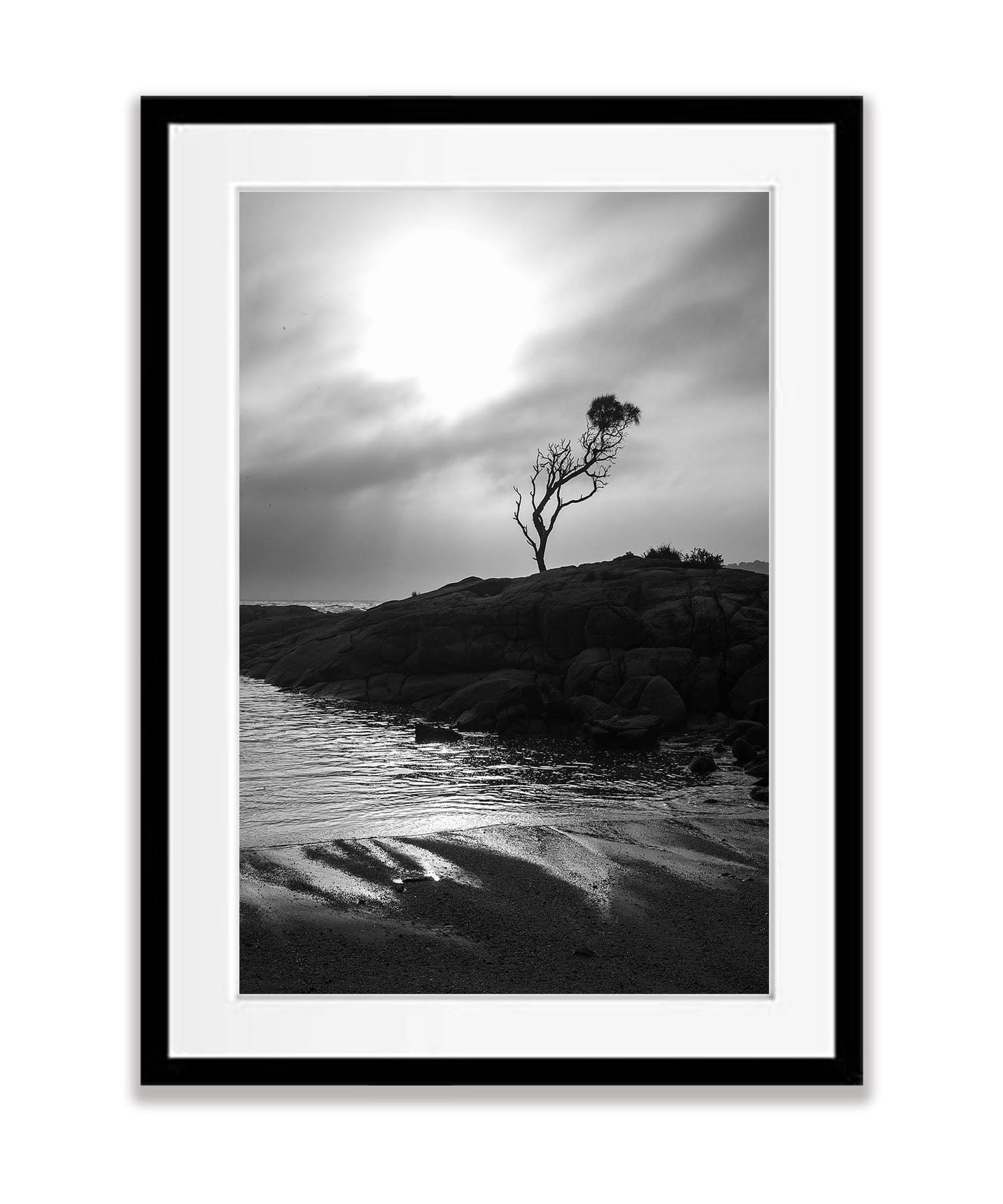 Lone Tree, Binnalong Bay, Bay of Fires