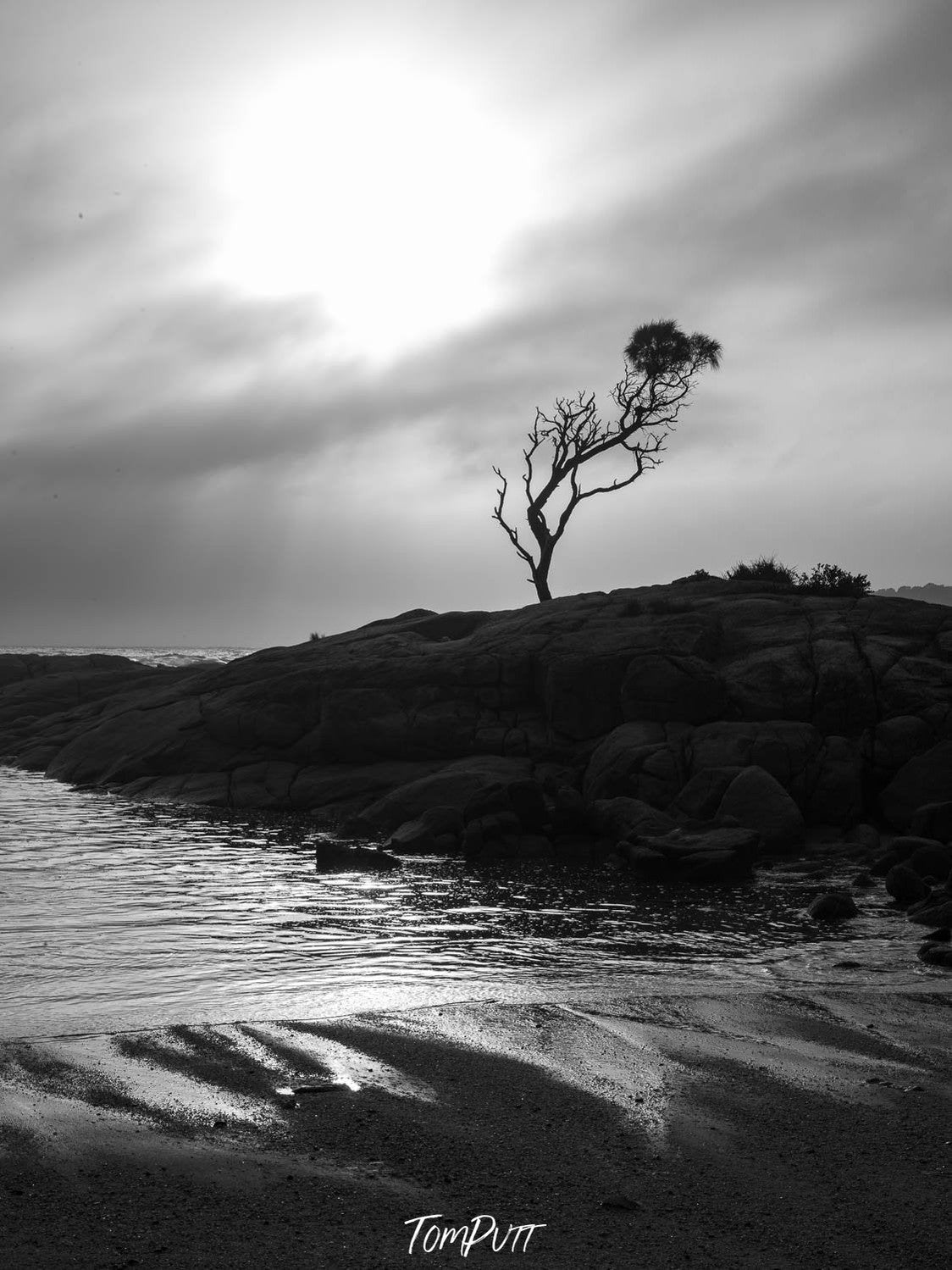 A large green mound with a lone tree and a lake adjacent to it, and shining sun over, Lone Tree, Binnalong Bay, Bay of Fires