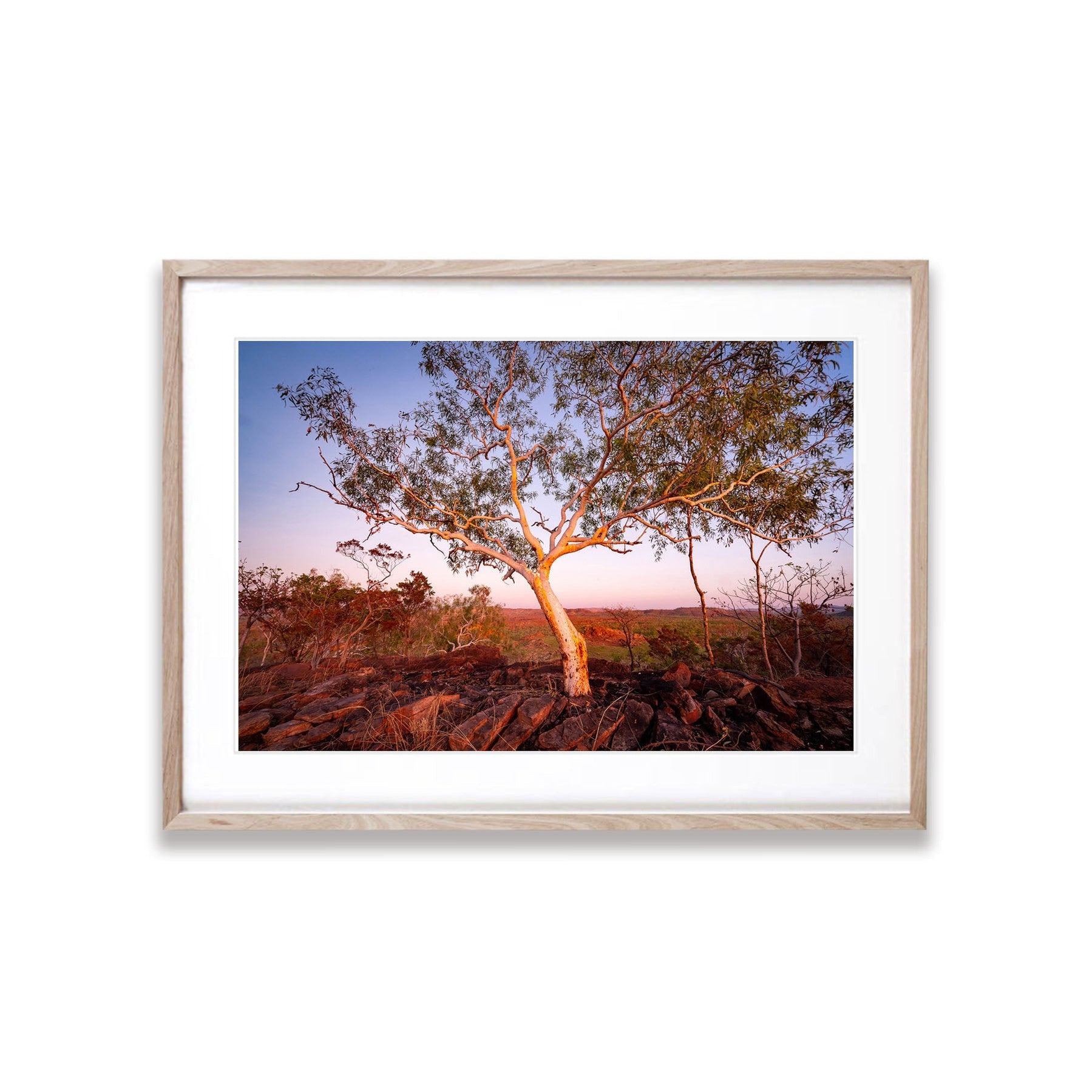 Lone Tree, Keep River NP