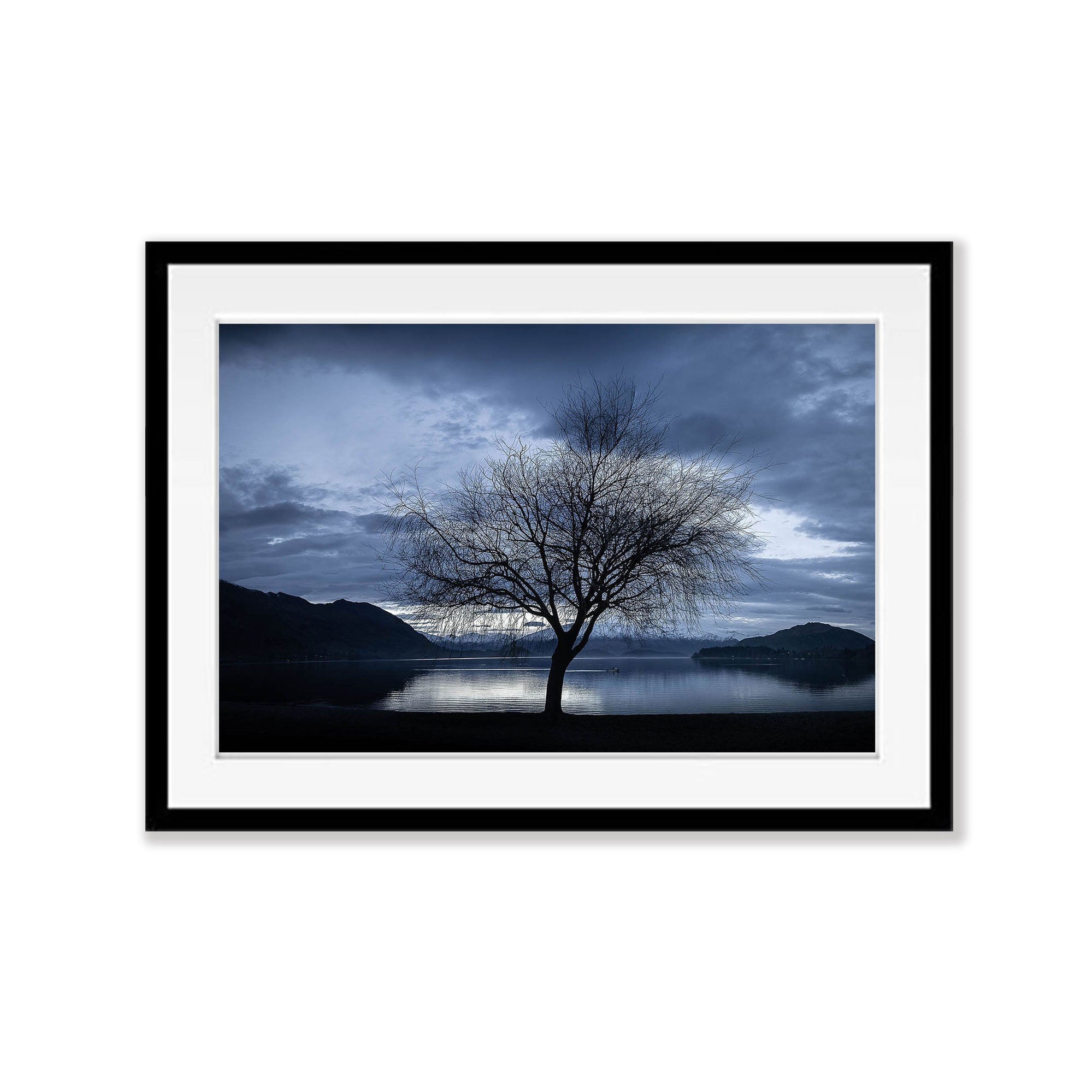 Lone Tree, Lake Wanaka, New Zealand