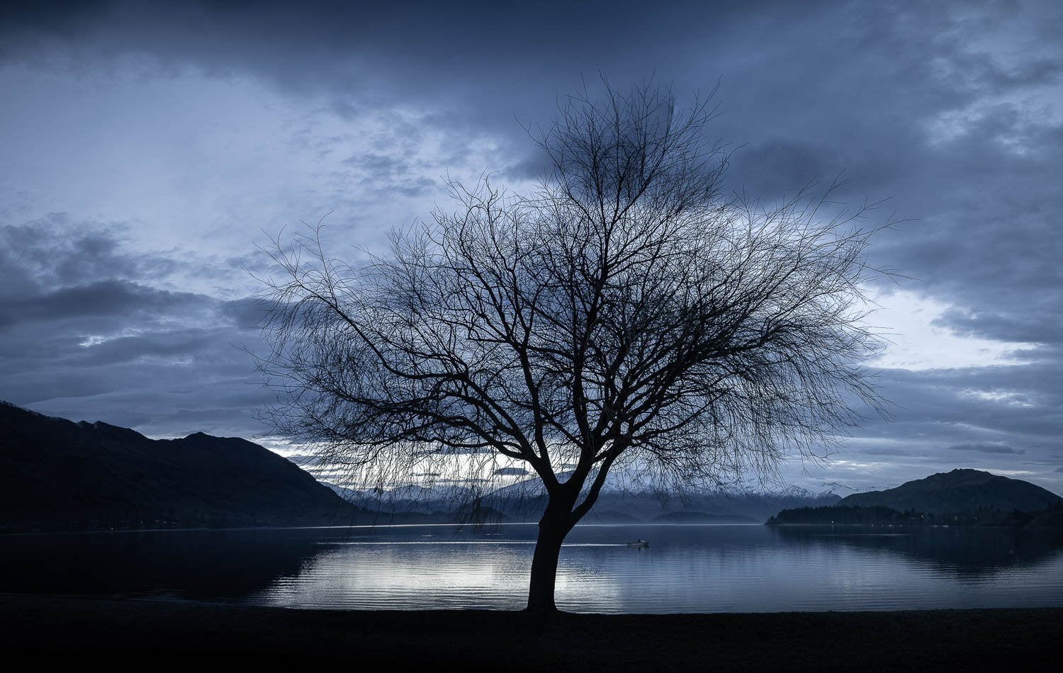 A dark view of a standing tree ahead of a small lake, New Zealand #16