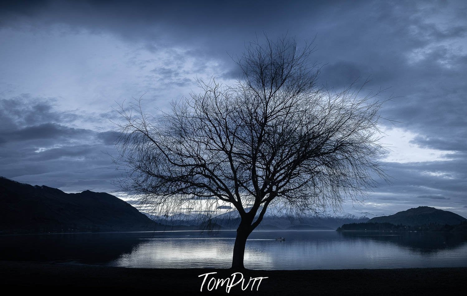 A dark view of a standing tree ahead of a small lake, New Zealand #16