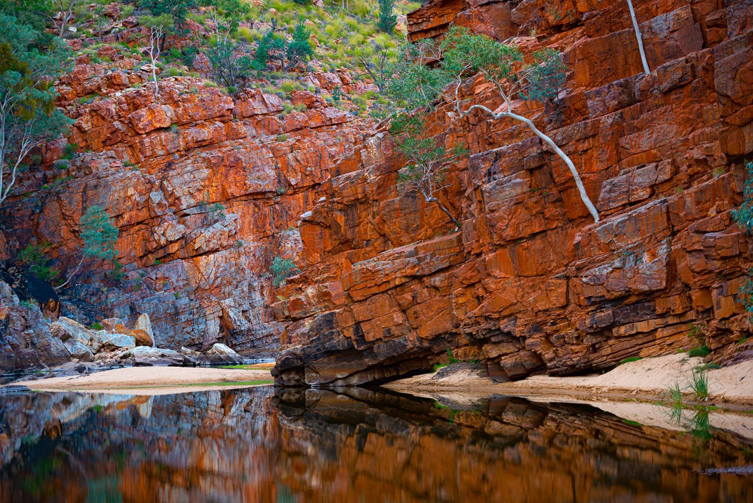 A morning view of mountain walls with a watercourse with clear reflections, Lone Tree, Ormiston Gorge - Red Centre NT