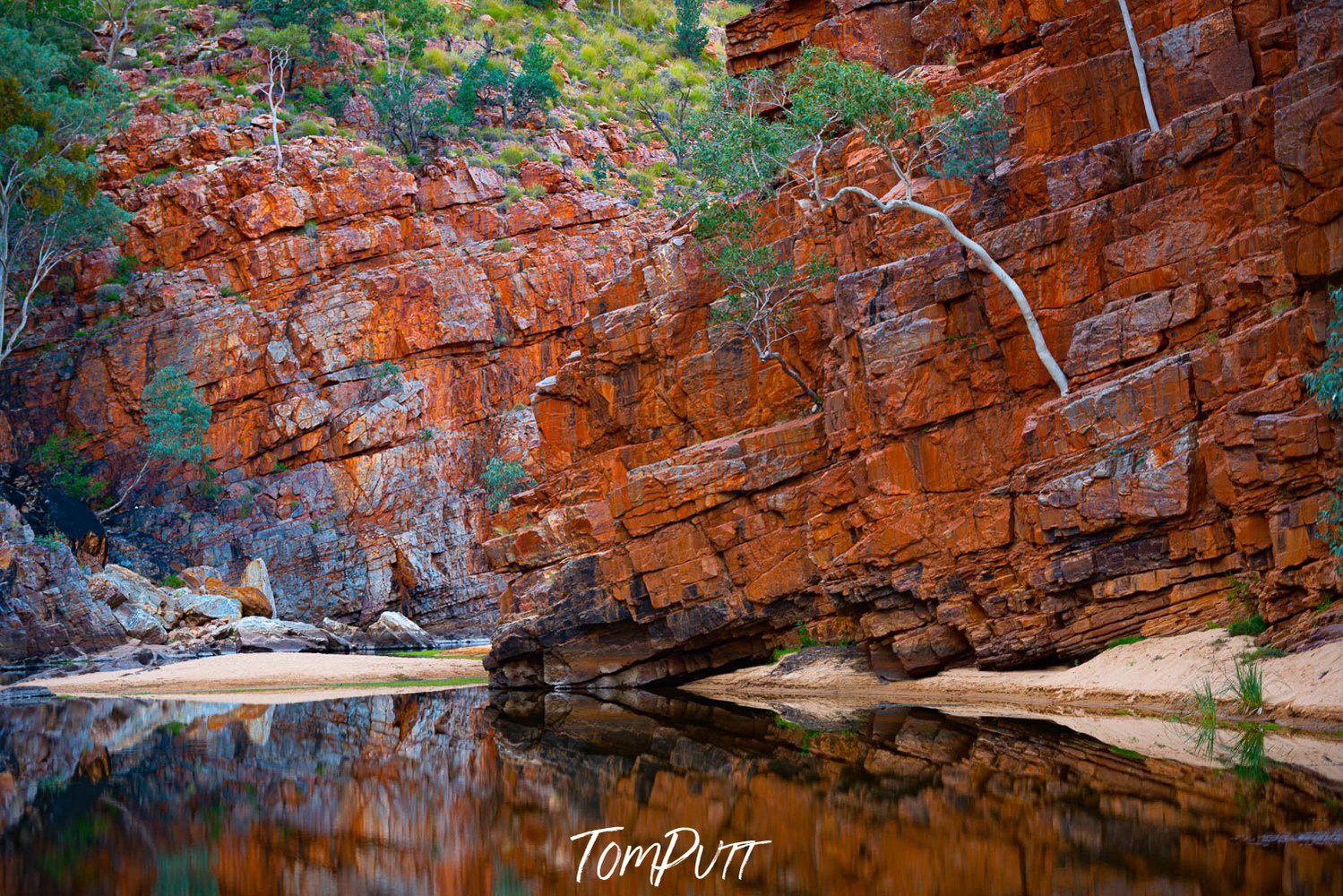 A morning view of mountain walls with a watercourse with clear reflections, Lone Tree, Ormiston Gorge - Red Centre NT