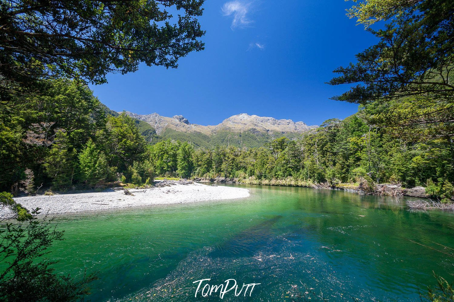 A green lake surrounded by fresh green tree and plants, Looking across the Clinton River to Dore Pass crossing the Earl Mountains, Milford Track - New Zealand