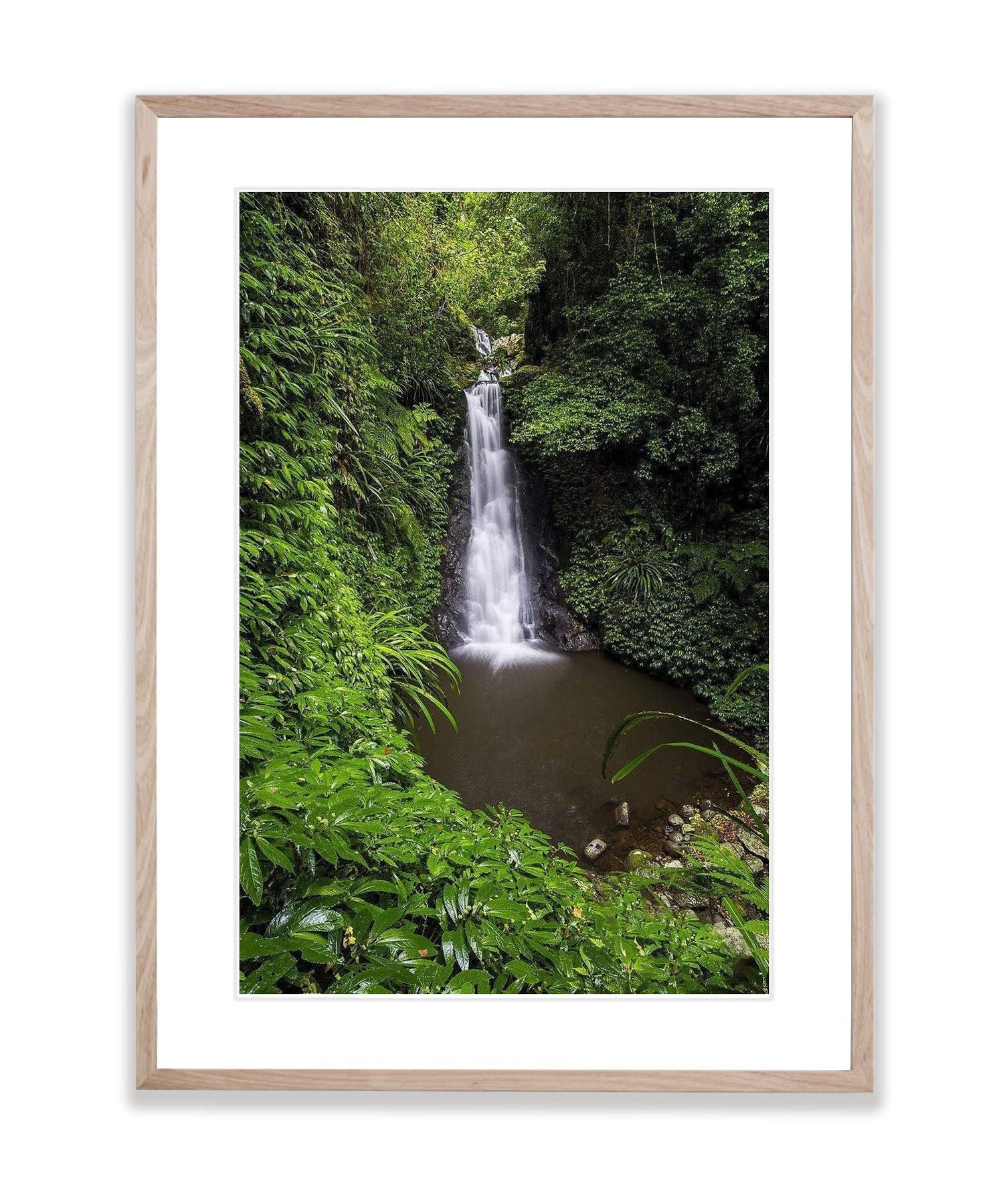 Luscious Lamington National Park QLD