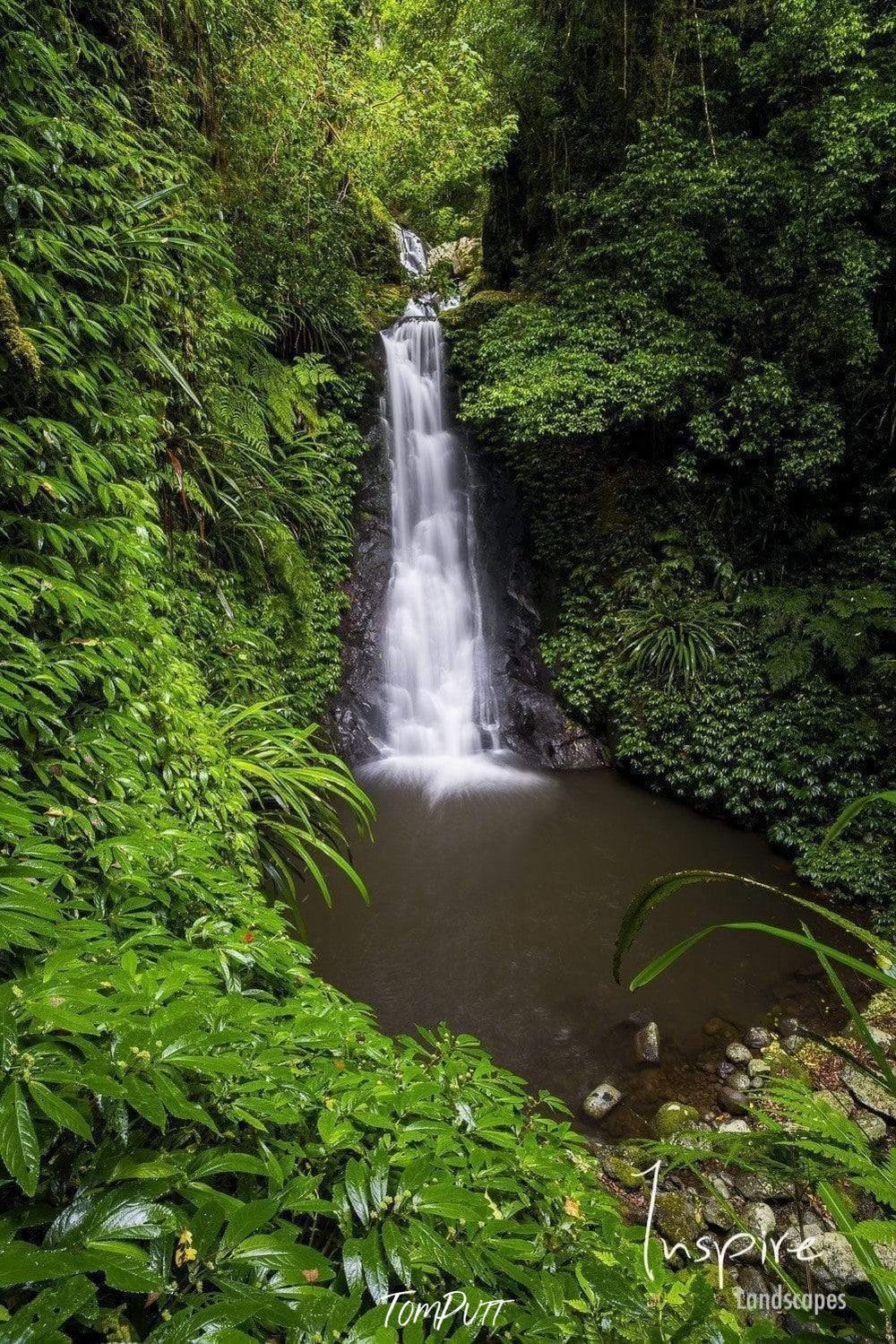 Waterfall from the green mound with a lot of fresh greenery around, Luscious Lamington National Park QLD