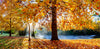 Bright Autumn Colours Pano - BR5012