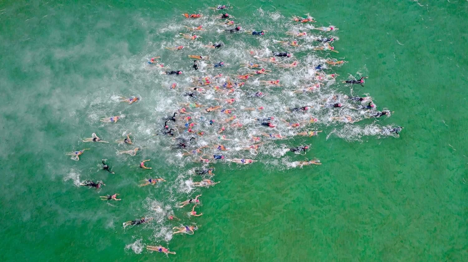 Aerial view of a green water beach with a lot of people in the water, MMAD Swimmers - Mornington Peninsula VIC 