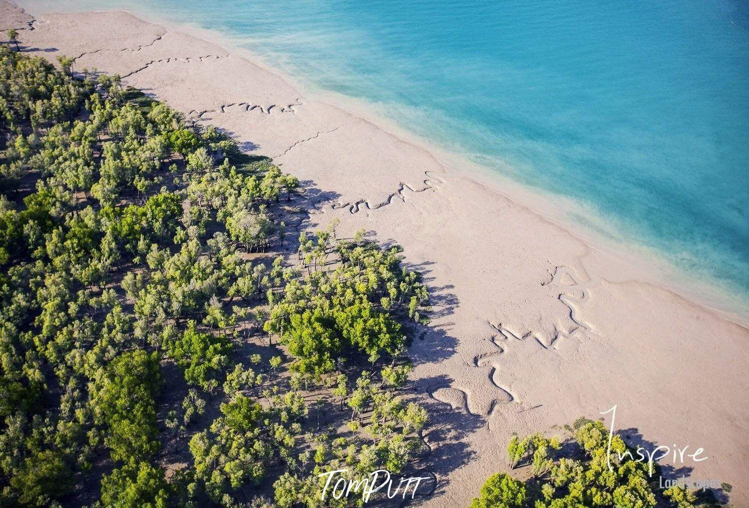 Aerial view of a greenfield area connecting with a beach, Mangroves