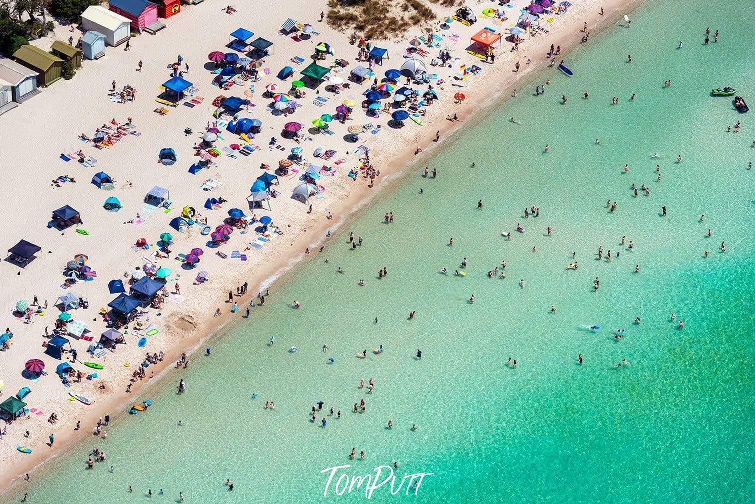 Aerial view of a green seashore with a lot of people on the beach, McCrae Swimmers - Mornington Peninsula VIC