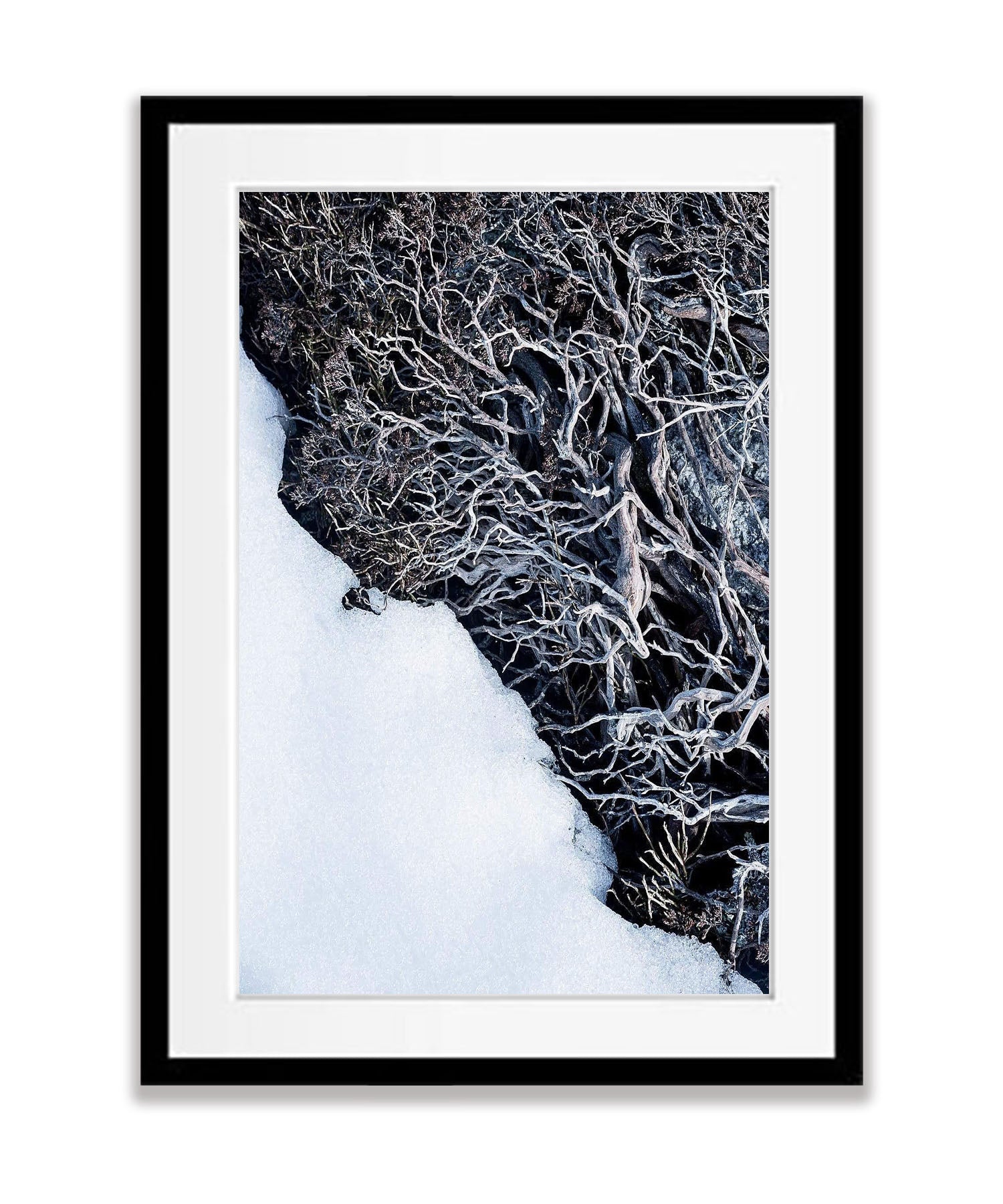 Micro detail - Snowy Mountains NSW