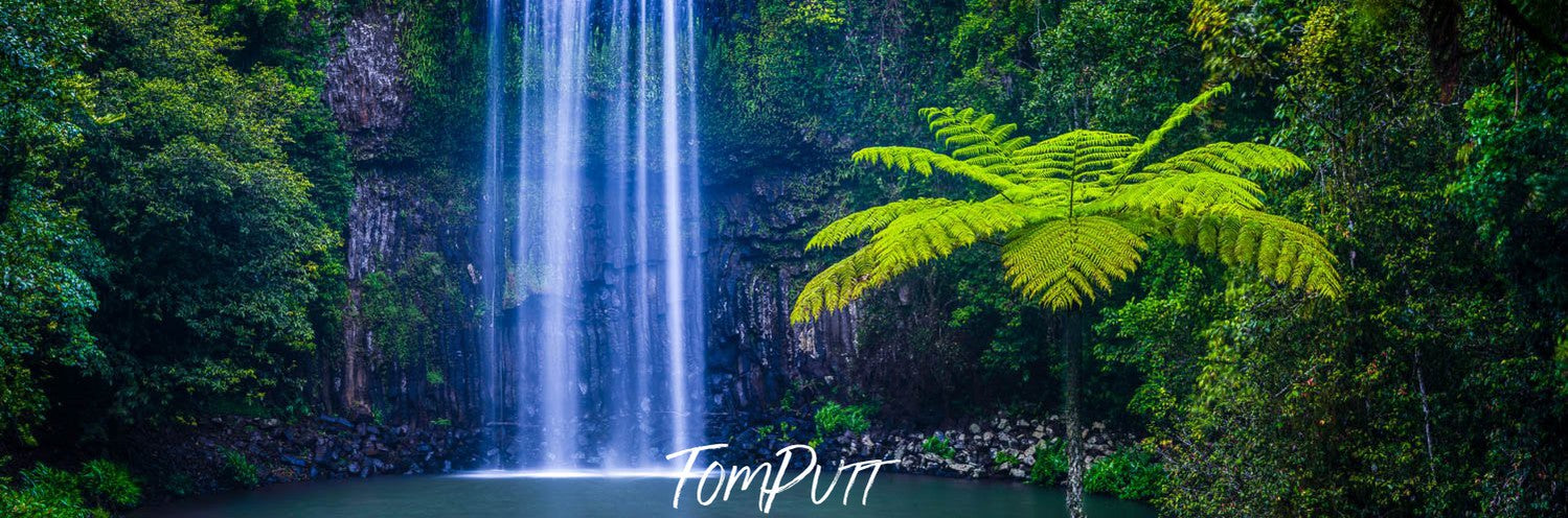 Waterfalls from green mountain walls in a small watercourse, Milla Milla Falls, Far North Queensland