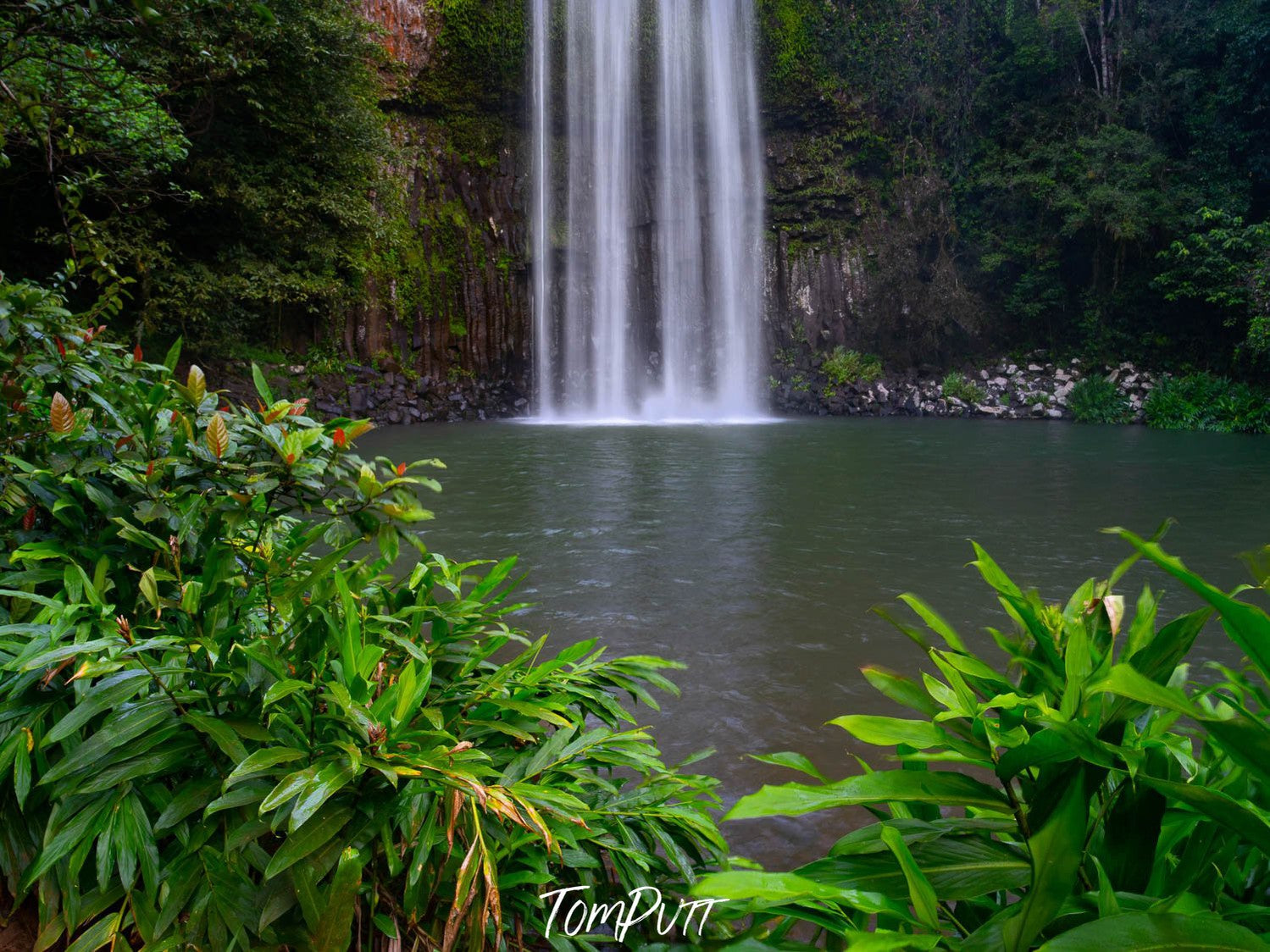 Waterfalls from green mountain walls in a small watercourse, Milla Milla Falls abstract, Far North Queensland