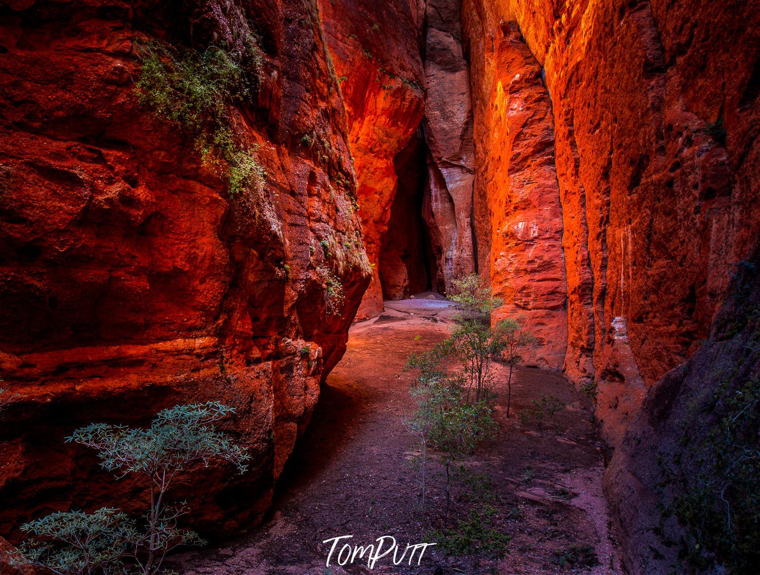 Mini Palms Gorge, WA