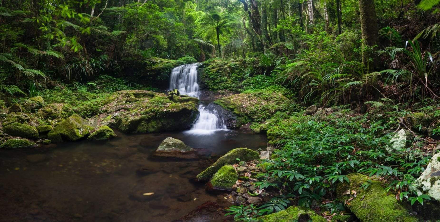 Small water fall in a lush green area in the forest, Mirror Falls QLD Art