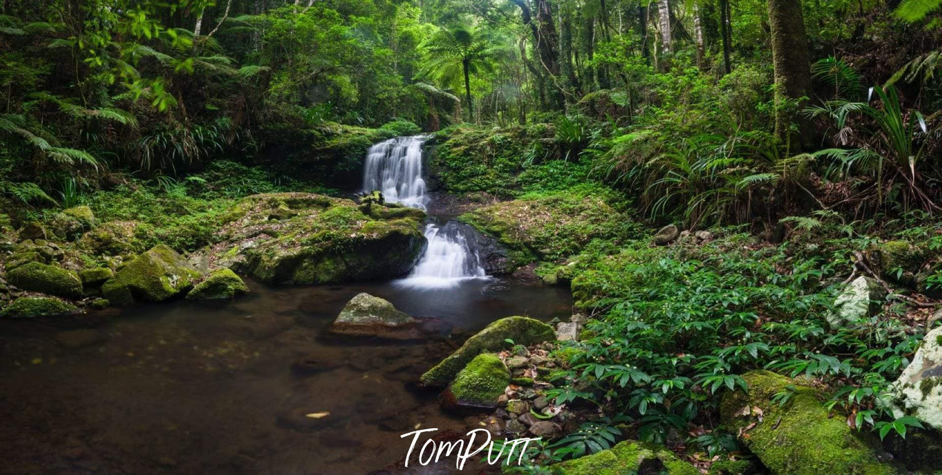 Small water fall in a lush green area in the forest, Mirror Falls QLD Art