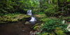 Small water fall in a lush green area in the forest, Mirror Falls QLD Art
