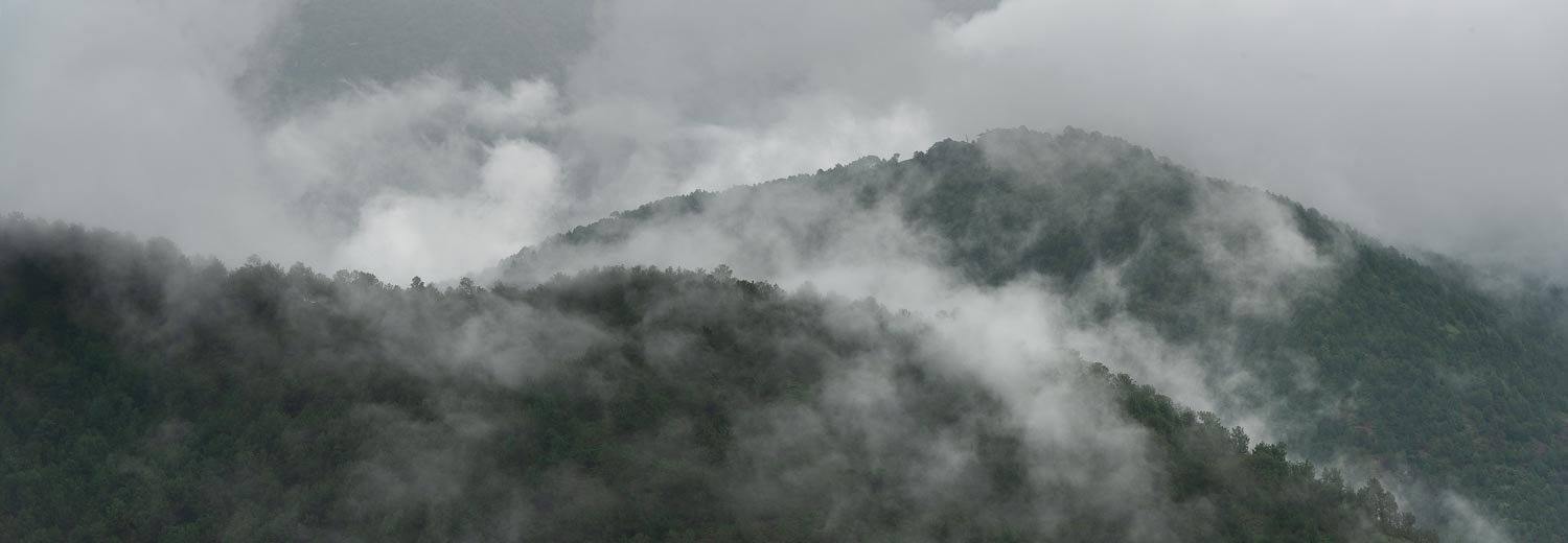 Giant green mountains with dull light and massive fog above, Mist over the Mountains, Bhutan