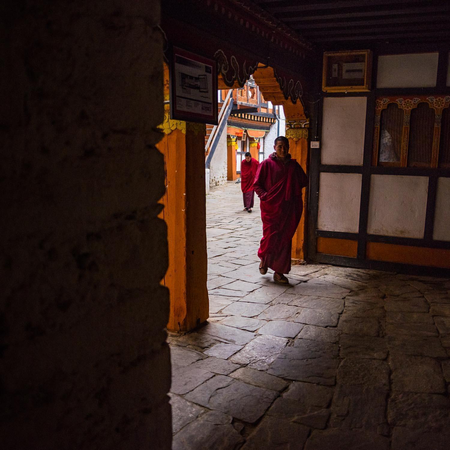Walking monk in a temple, Monks, Bhutan