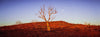 Desert with an only tree and a mound in the background, Moonscape - Karijini, The Pilbara