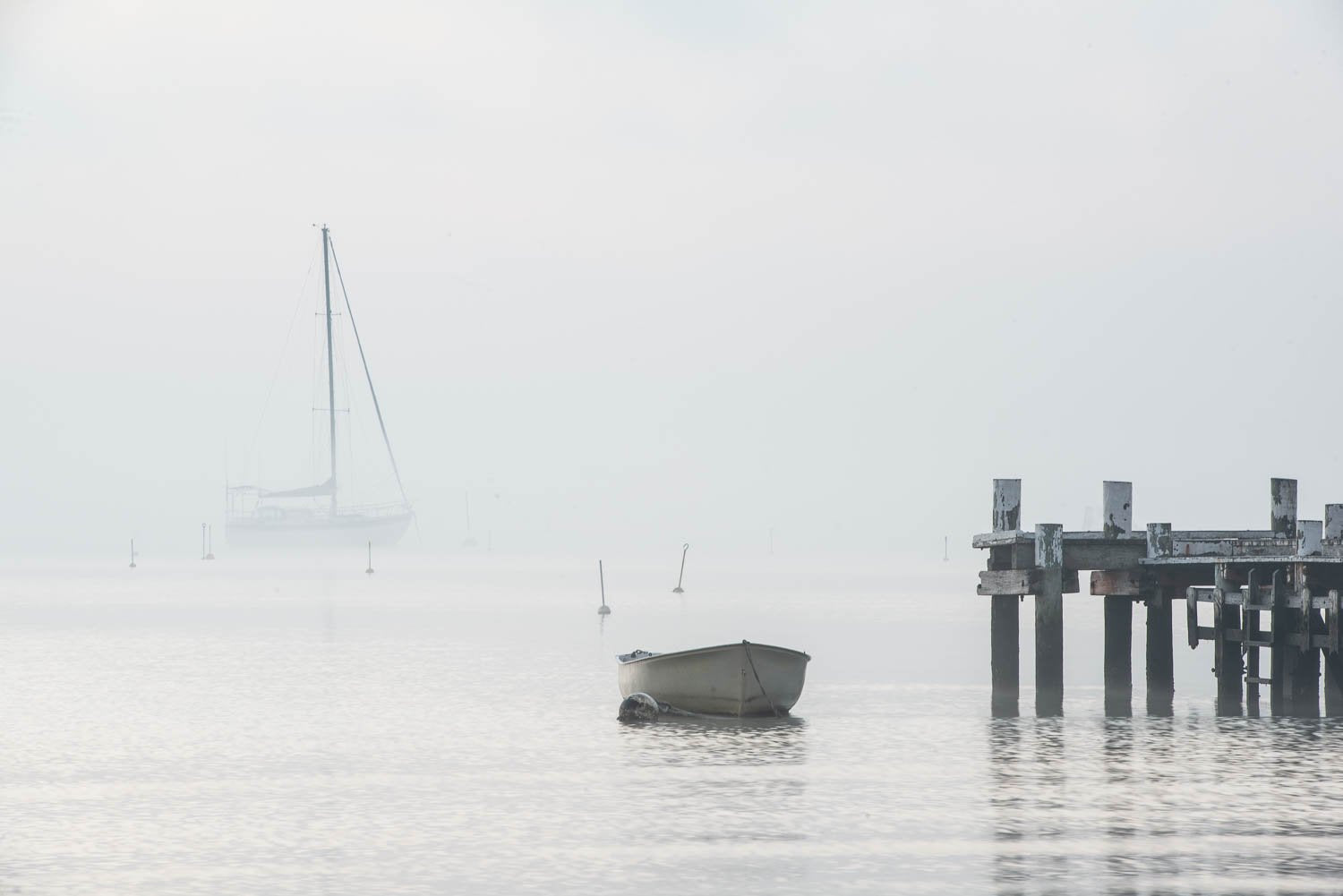 A floating boat and a wooden bridge in the lake, Morning Mist, Sorrento - Mornington Peninsula
