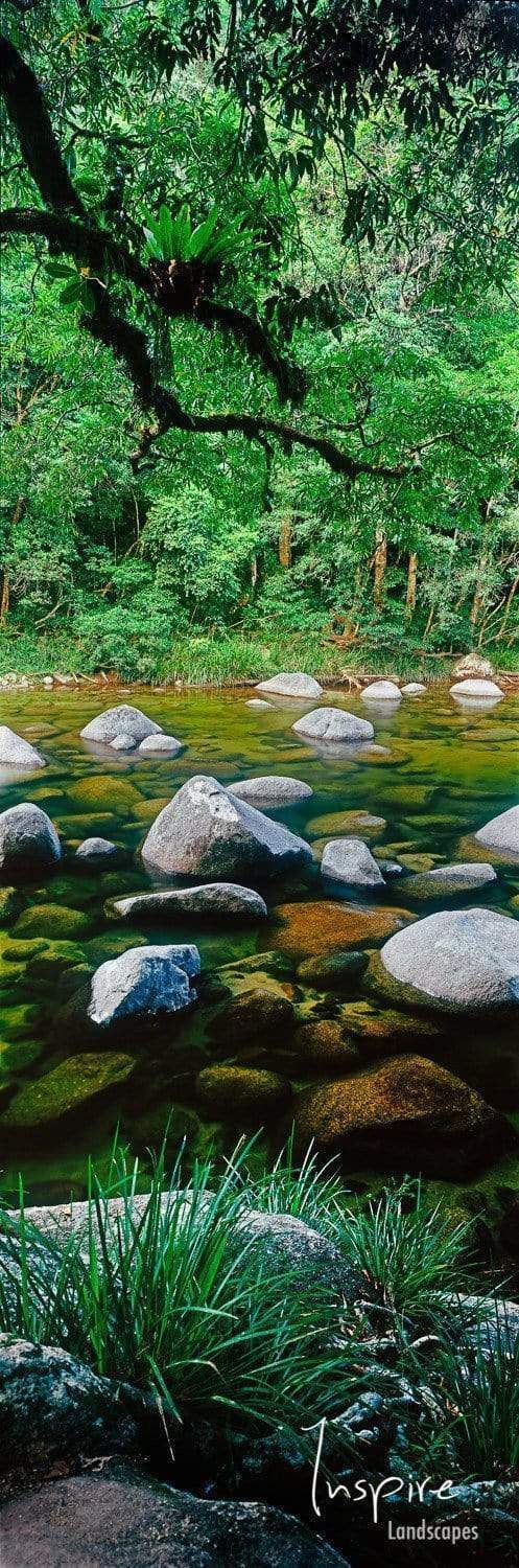 Portrait of a fresh greenery with some stones over a small watercourse, Mossman Gorge Daintree QLD Art