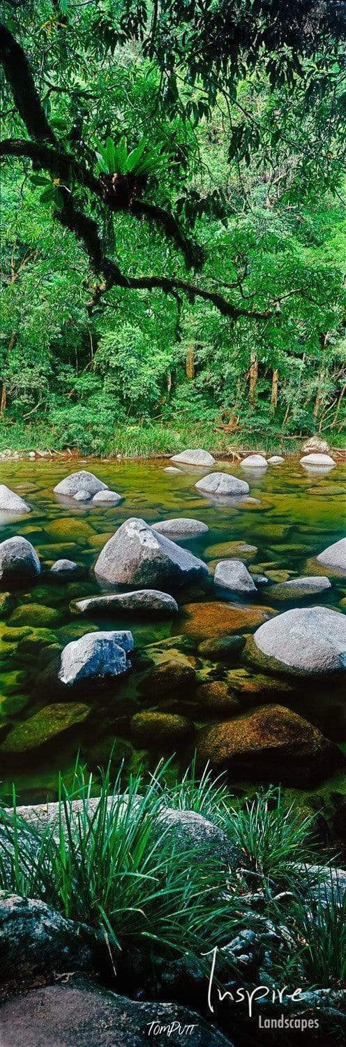 Portrait of a fresh greenery with some stones over a small watercourse, Mossman Gorge Daintree QLD Art