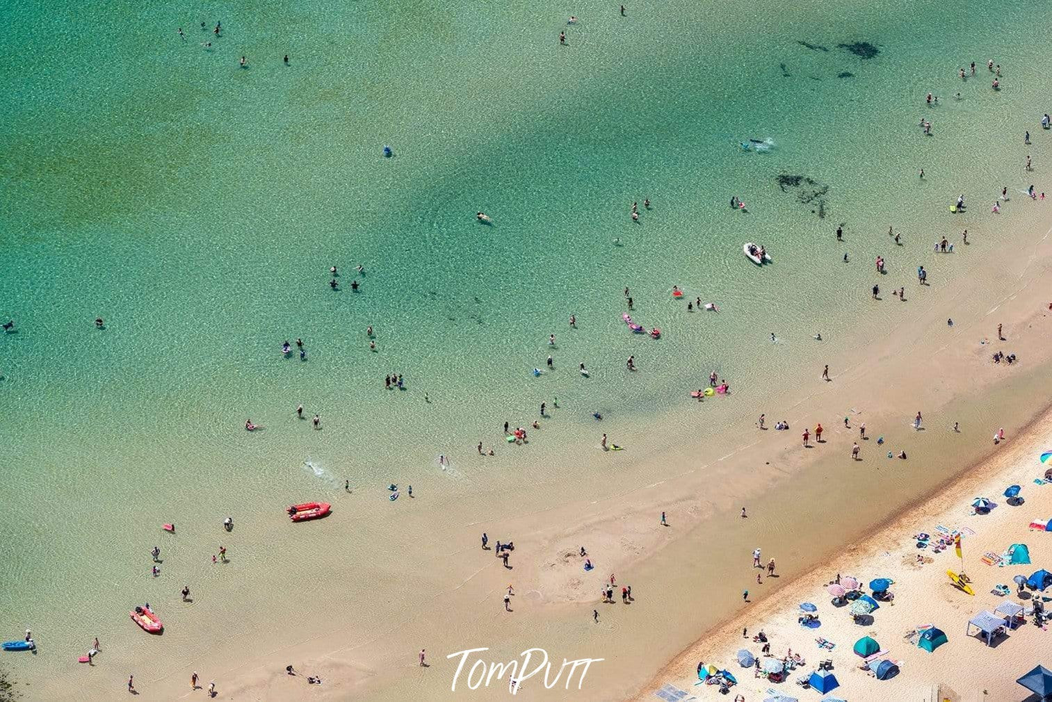 Aerial view of a beach with a lot of people enjoying, Mother's Beach, Mornington - Mornington Peninsula VIC