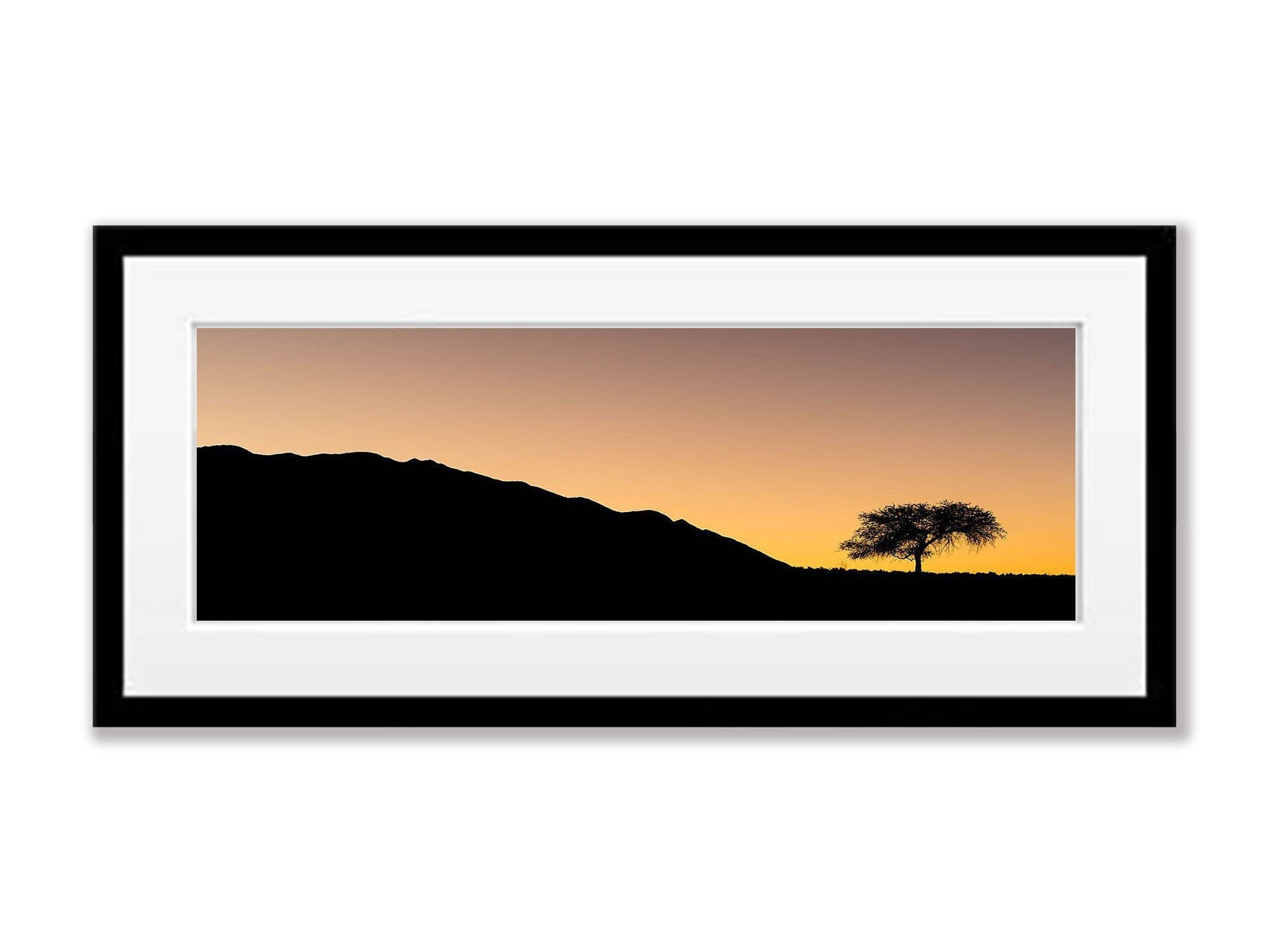 Sunset with camel thorn tree, Namibia, Africa