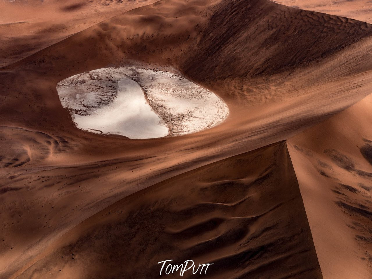 Desert Oasis, Namibia, Africa