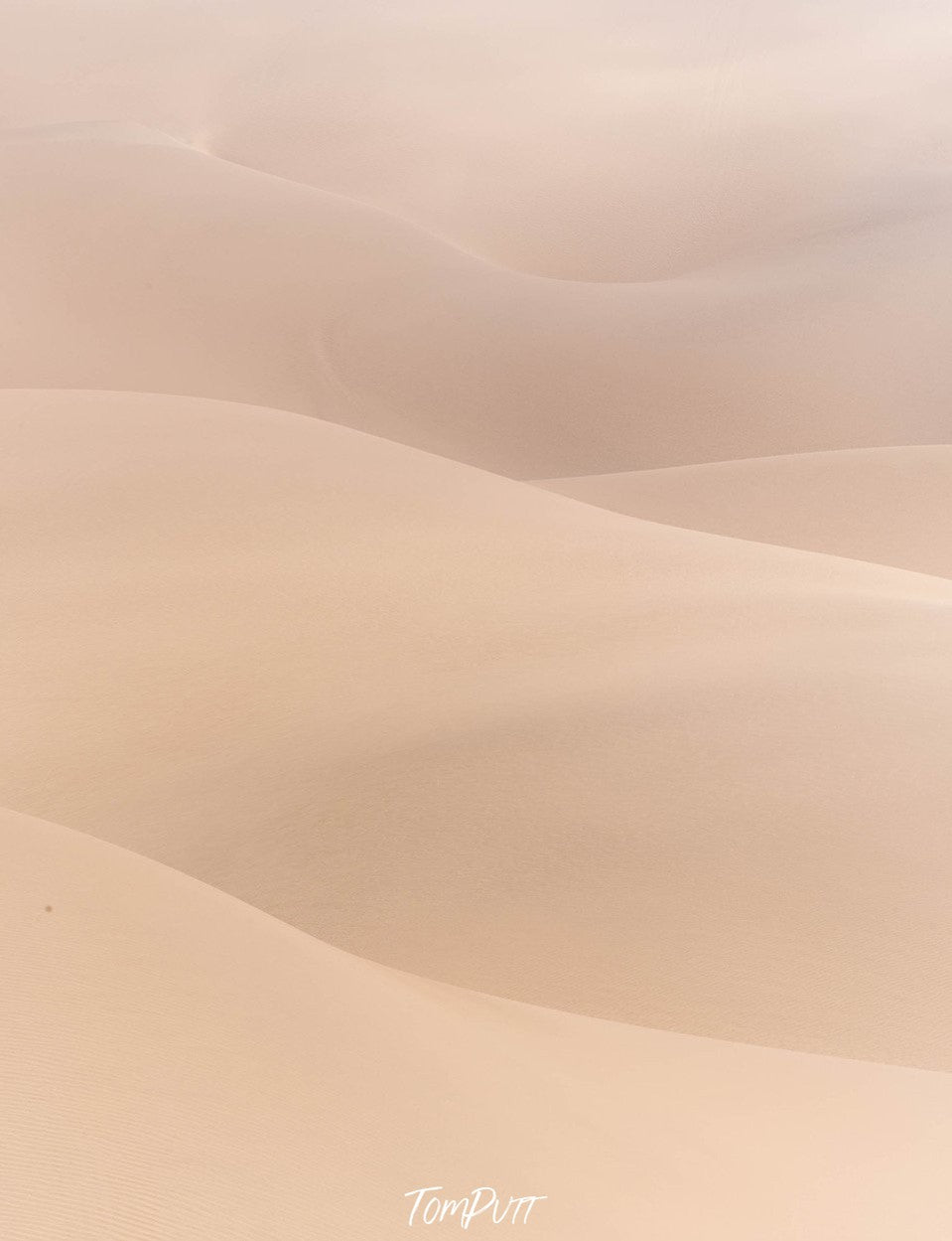 Wavy sand of desert, Namibia #23, Africa