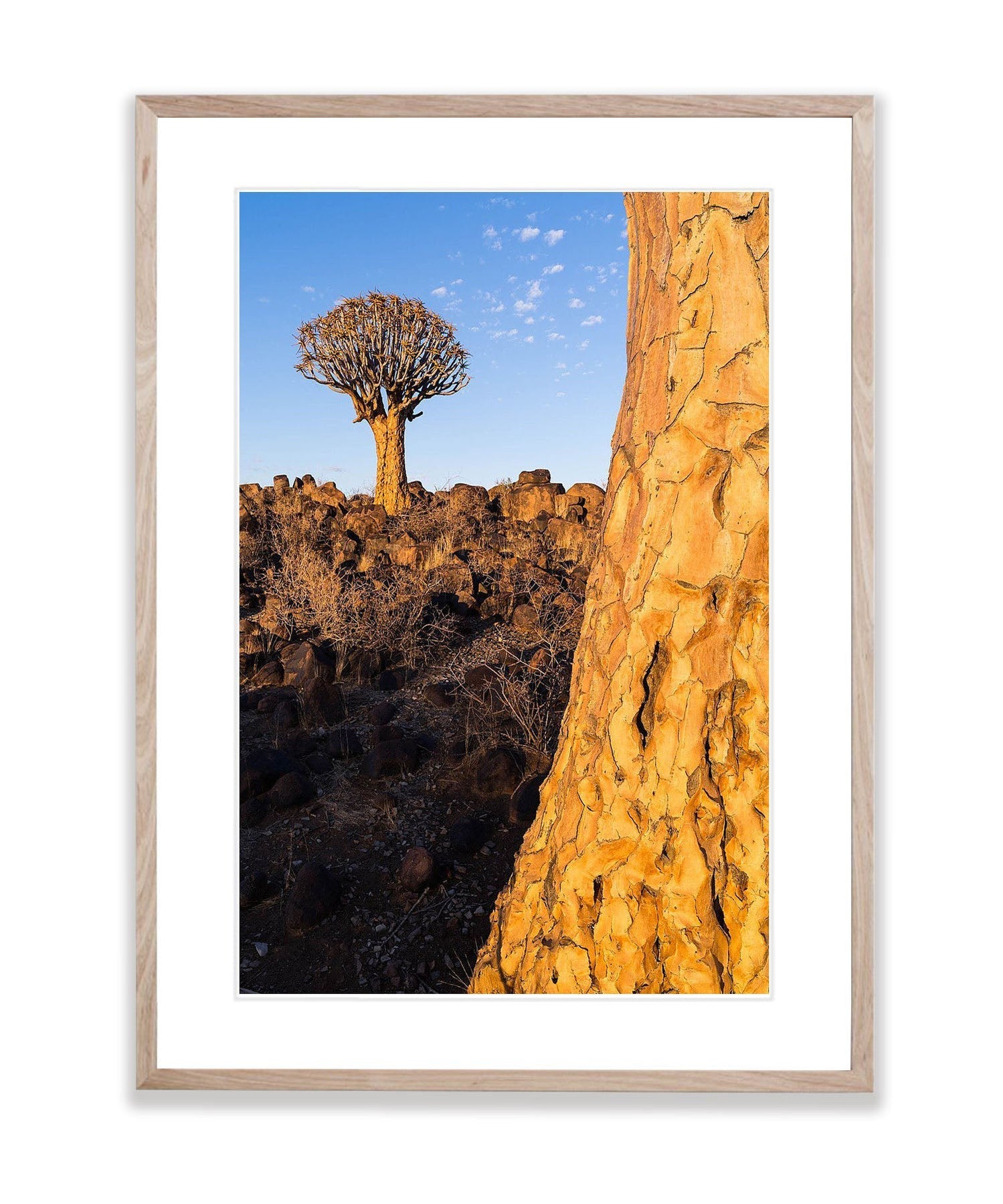 Enduring Strength, Namibia, Africa