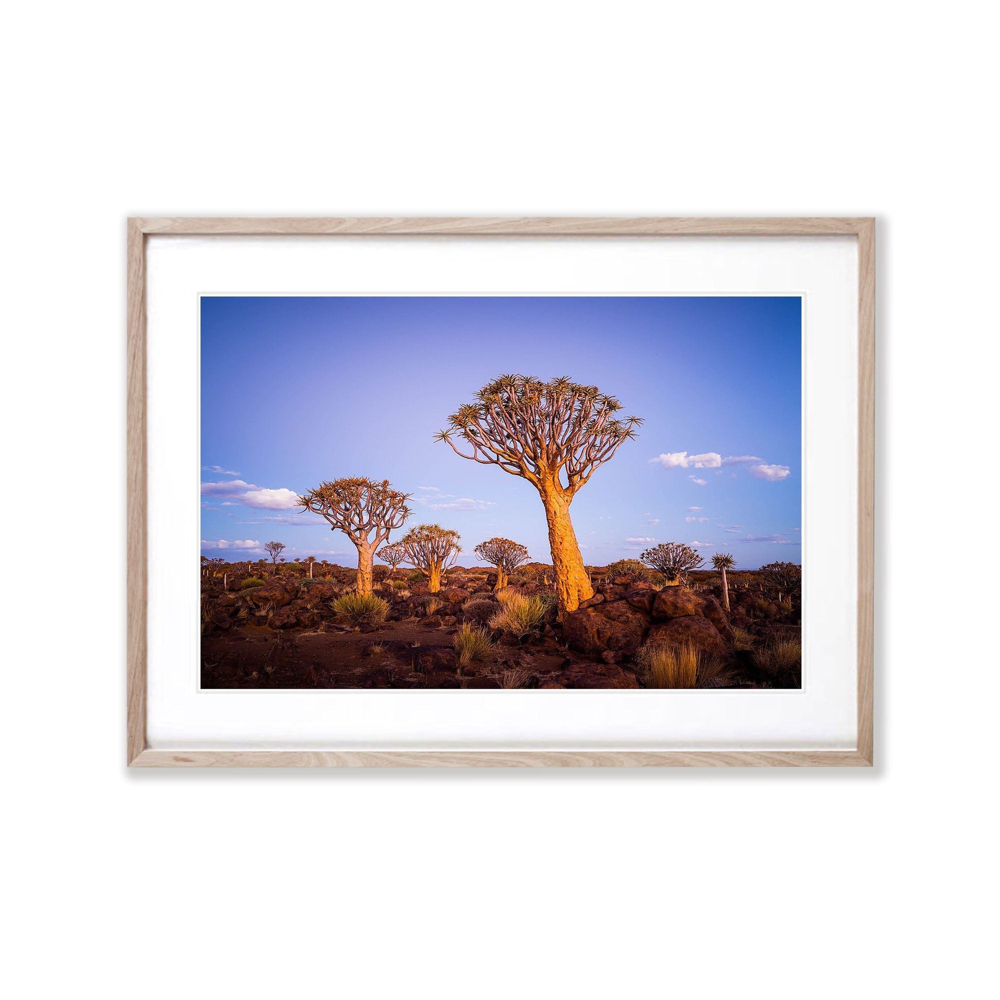 Golden Guardians, Namibia, Africa