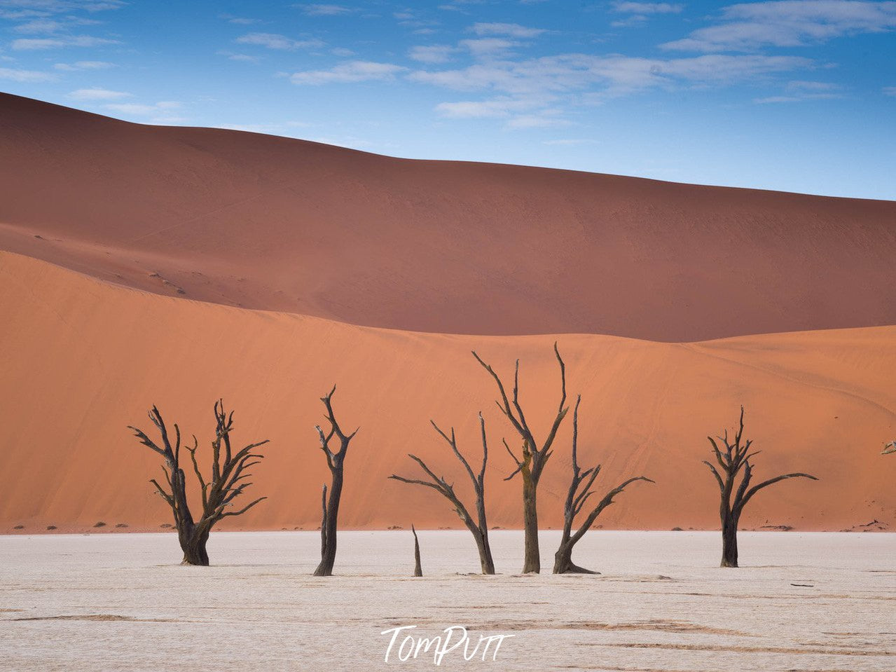 Eternal Persistence, Deadvlei, Namibia, Africa